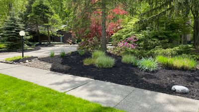 Mid-Century Woodland Project