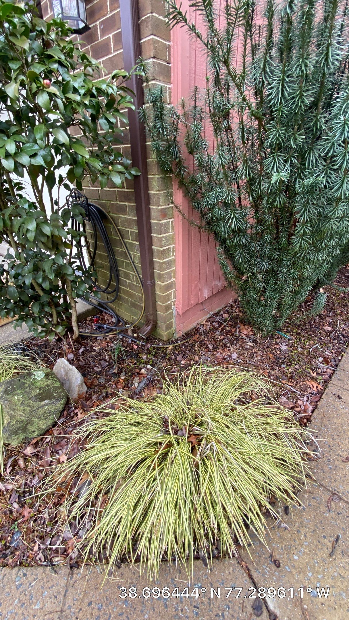 Woodbridge: T1-11 Pywood Panel Siding Installation by RM Banning, Inc.