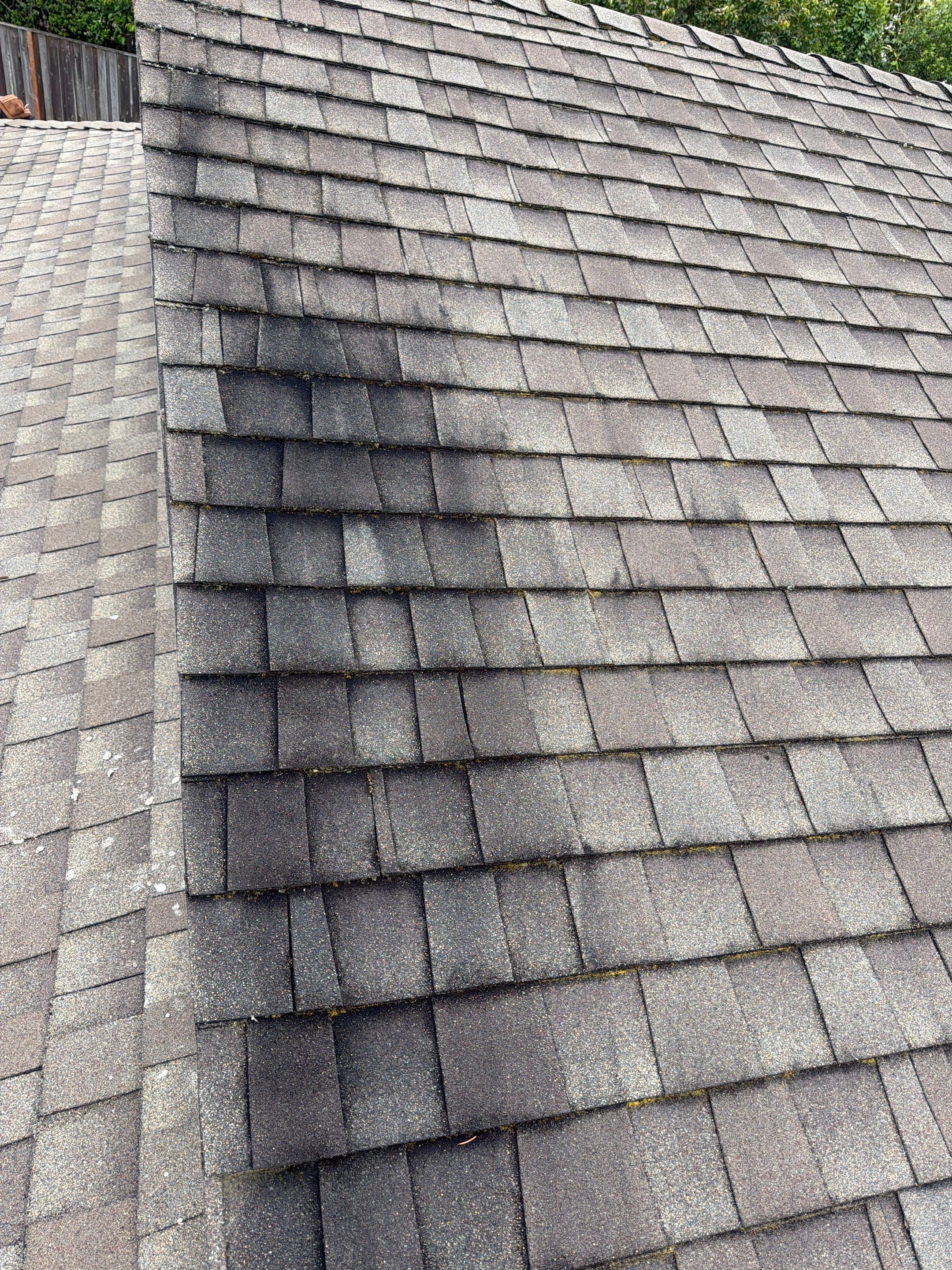 Alpha Eagle Roofing field photo 1
