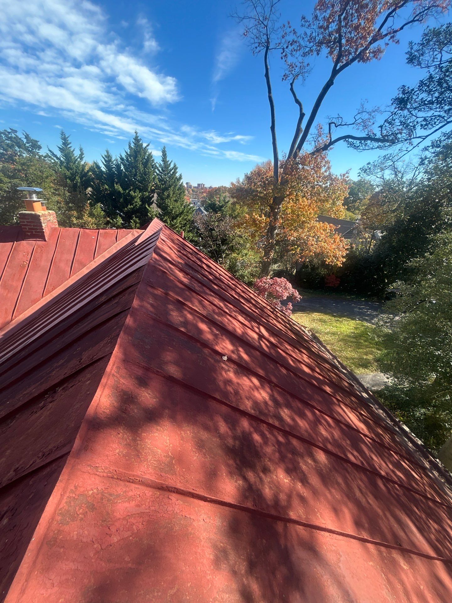 Alexandra: Residential Metal Roofing  by RM Banning, Inc.