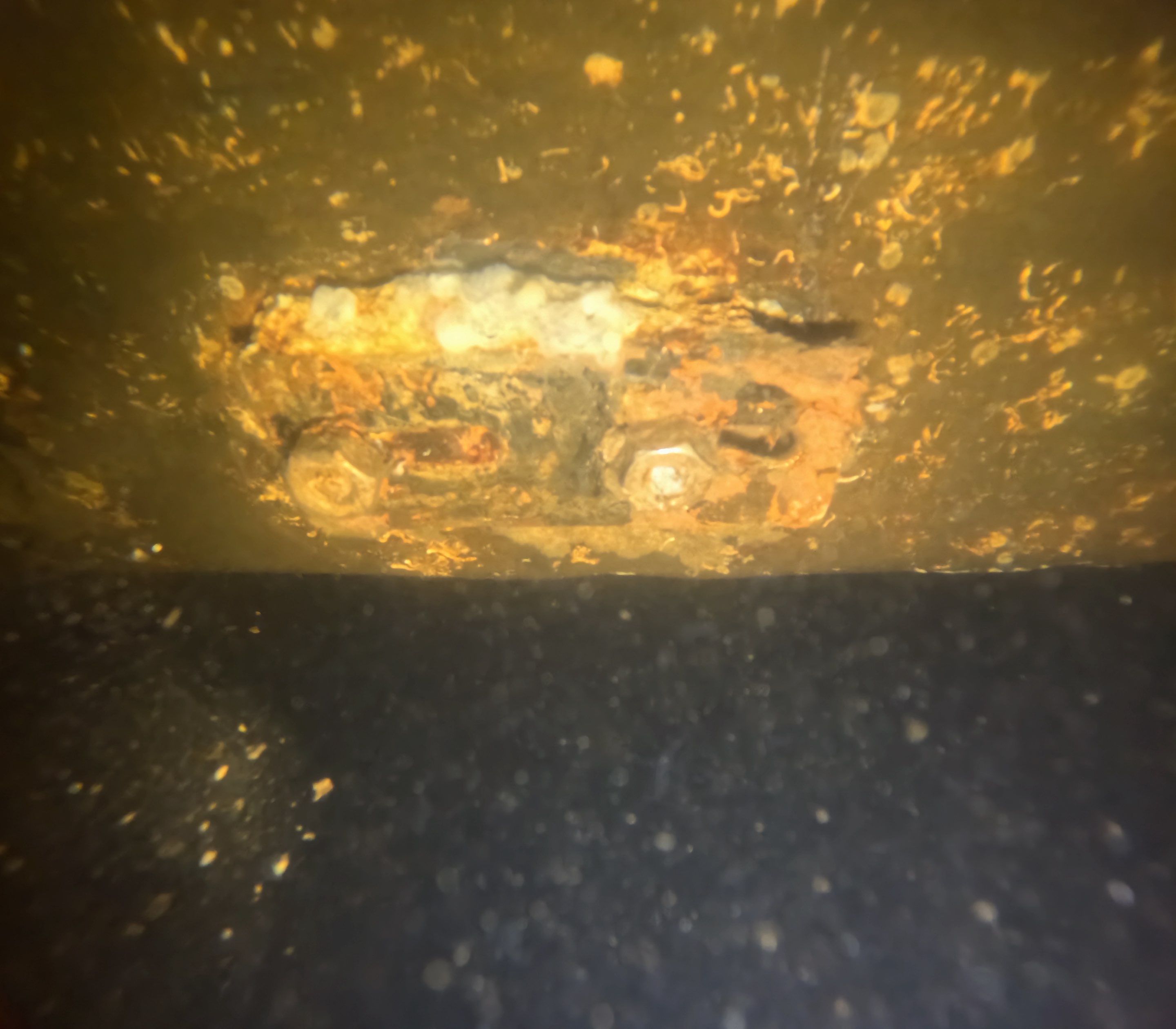 Project in North Fort Myers, FL by Florida Hull Cleaning 
