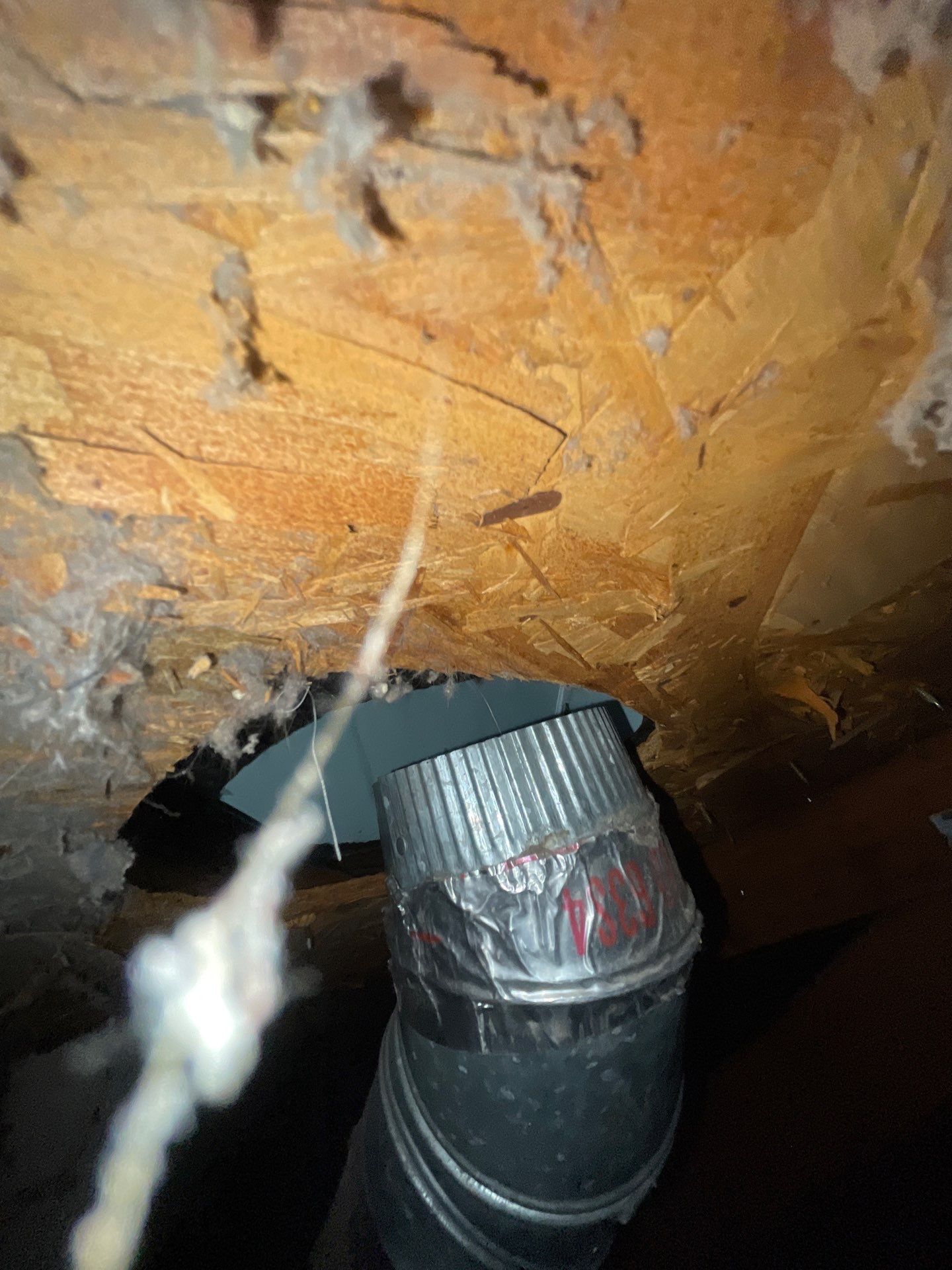 Air Duct Cleaning in Clermont by Hygienic Air, Inc
