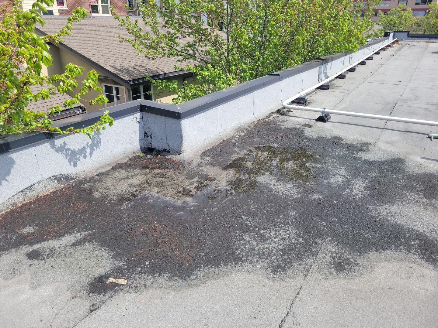 2024 Seattle Multi-Family Overlay by Alternative Roofing Systems Inc. 
