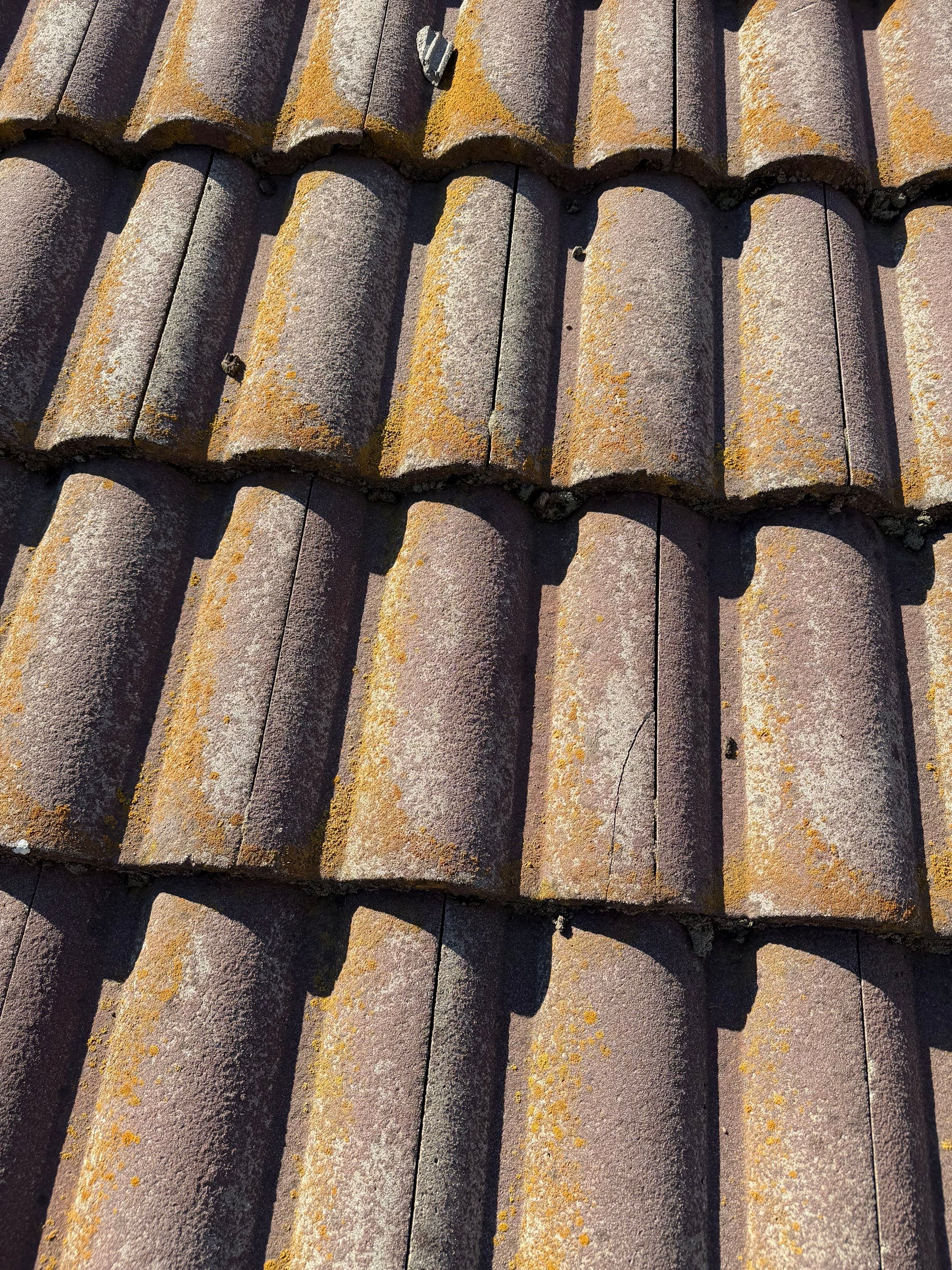 Project in Citrus Heights  by NuLead Construction Inc