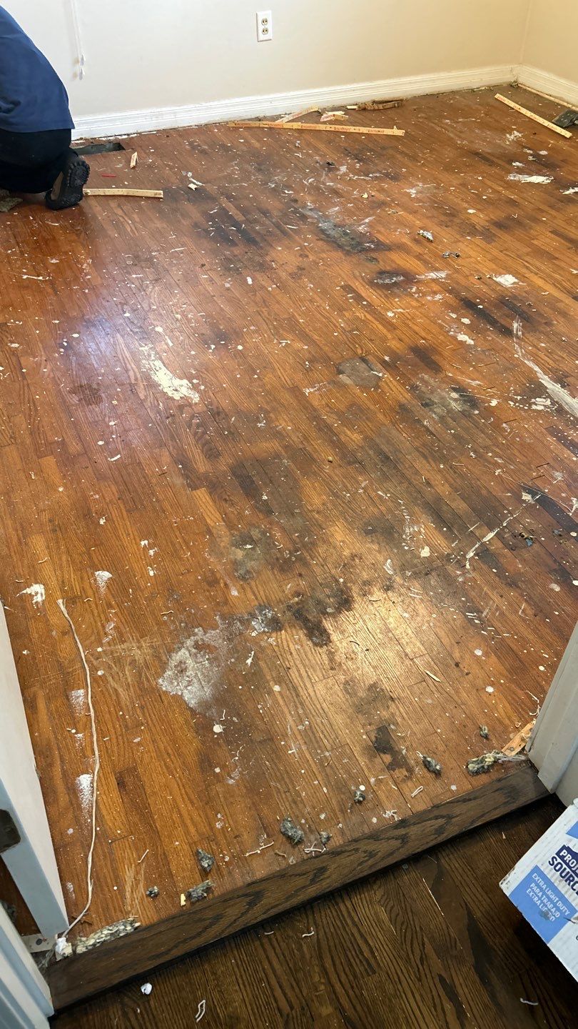 Under Carpet Reveal  by Footprints Floors of Nashville