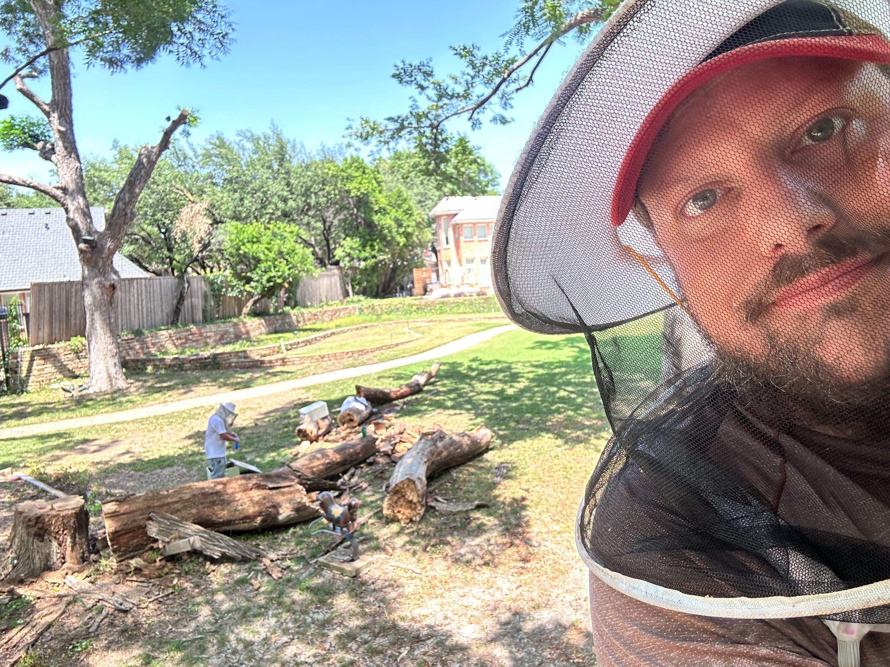 Two More Trees, One More Yard by Rockwall Honey Bee Company