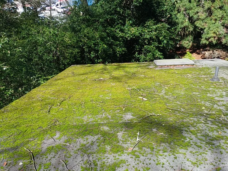 Resolving Leaks and Moss Growth by Georgia Roof Advisors