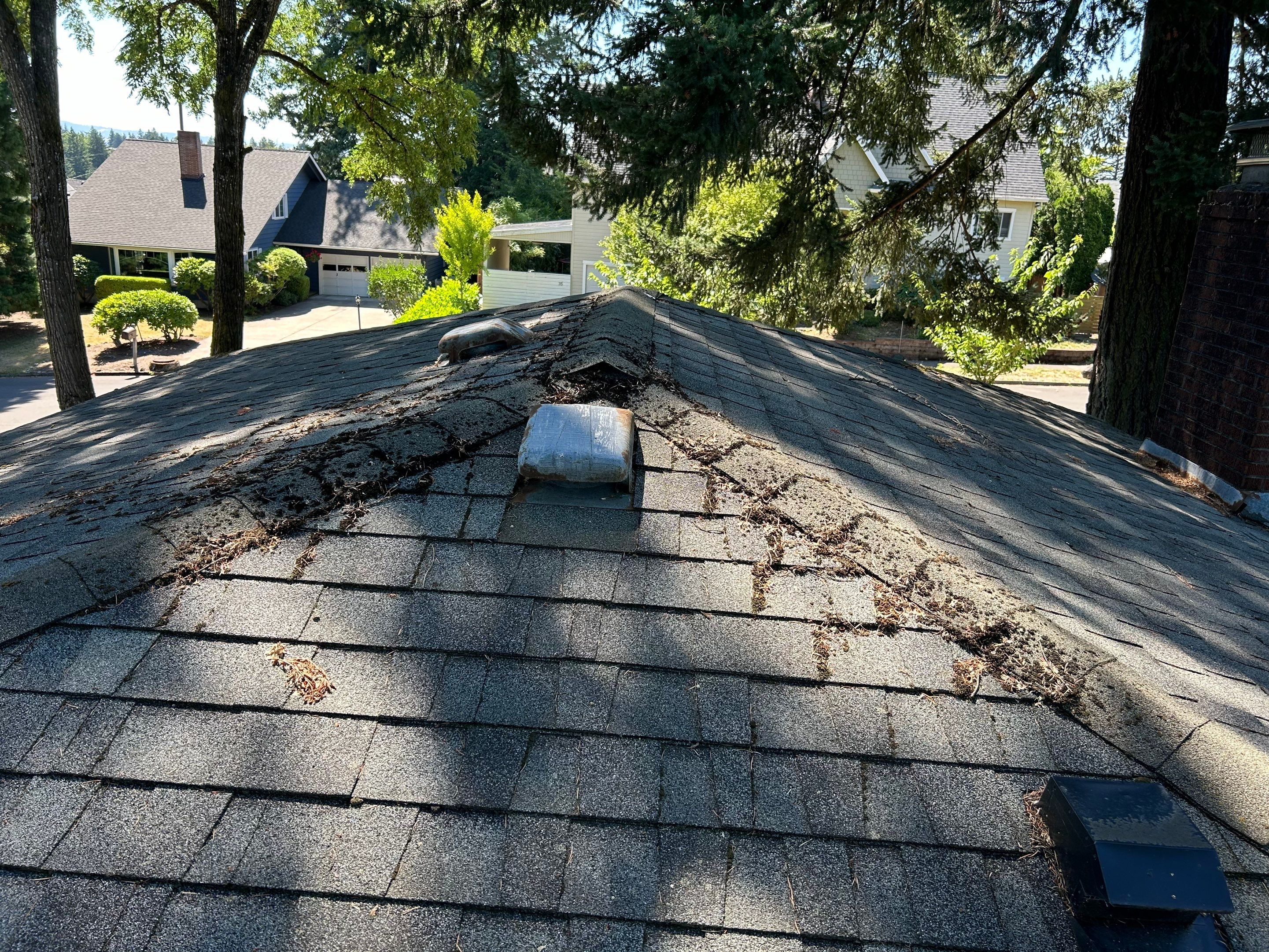 Roof Replacement in Portland by Prodigy Roof Solutions