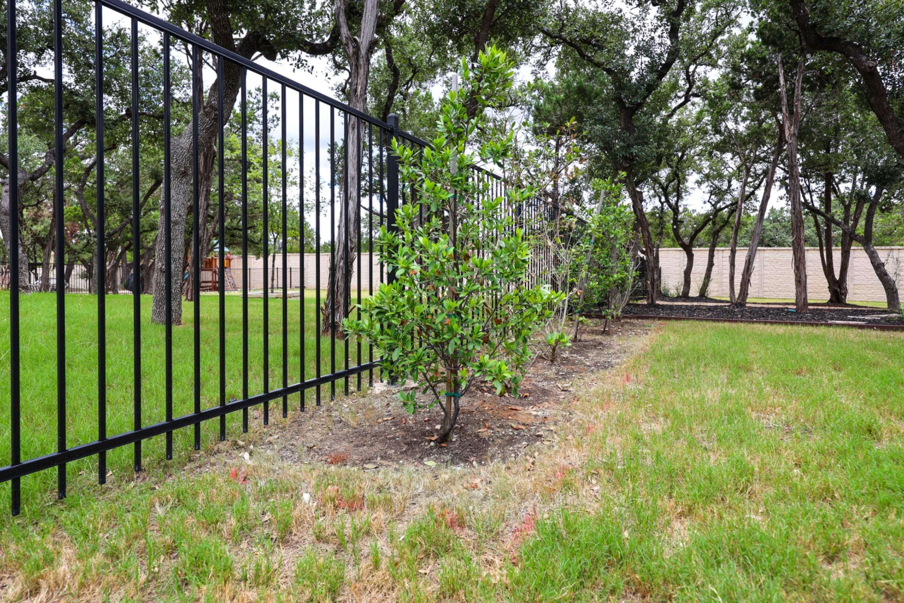 Royal Oak Estates - San Antonio,TX by Hole In One Lawns, LLC