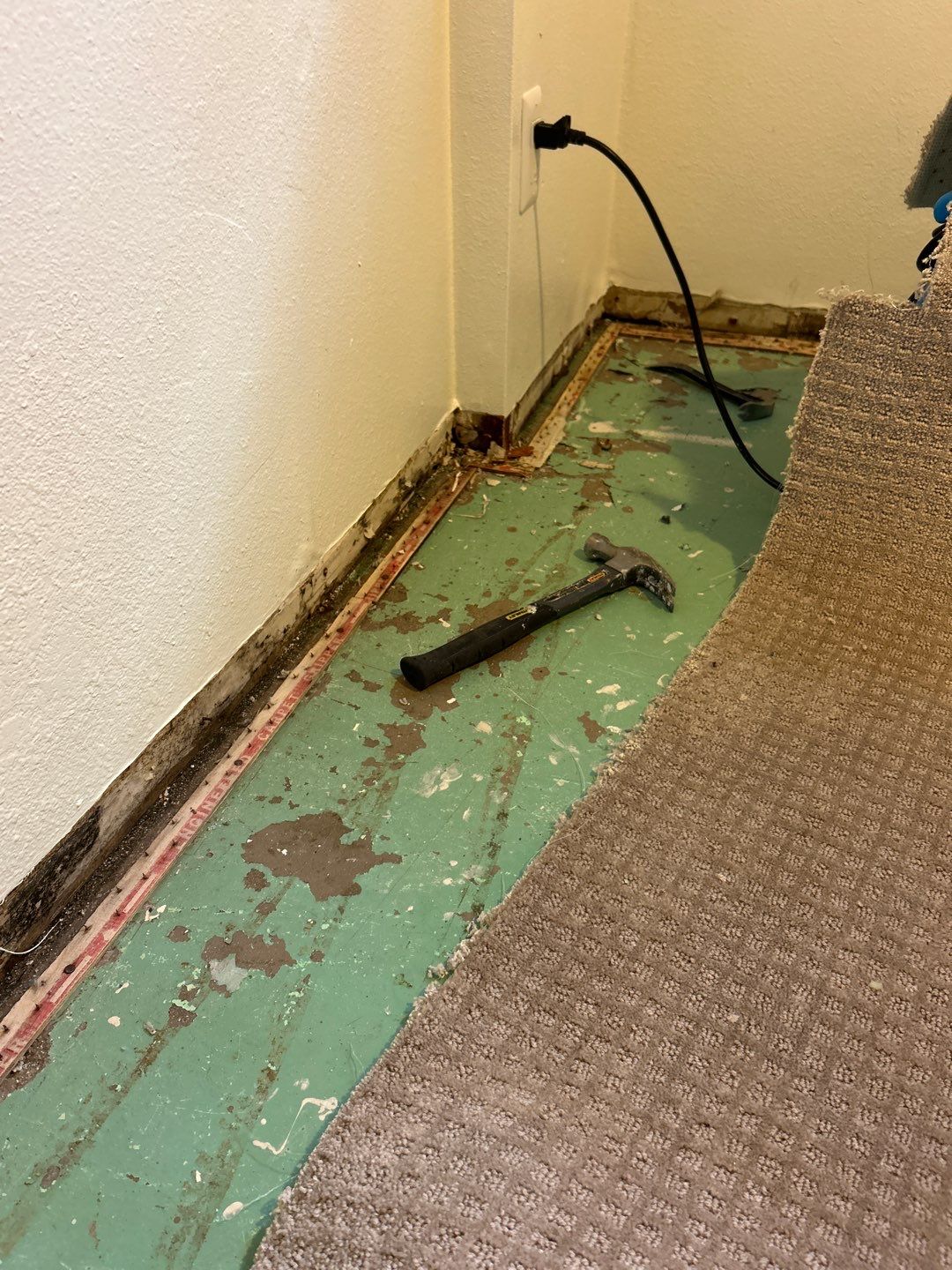 Mold Remediation by Accountable Home Services