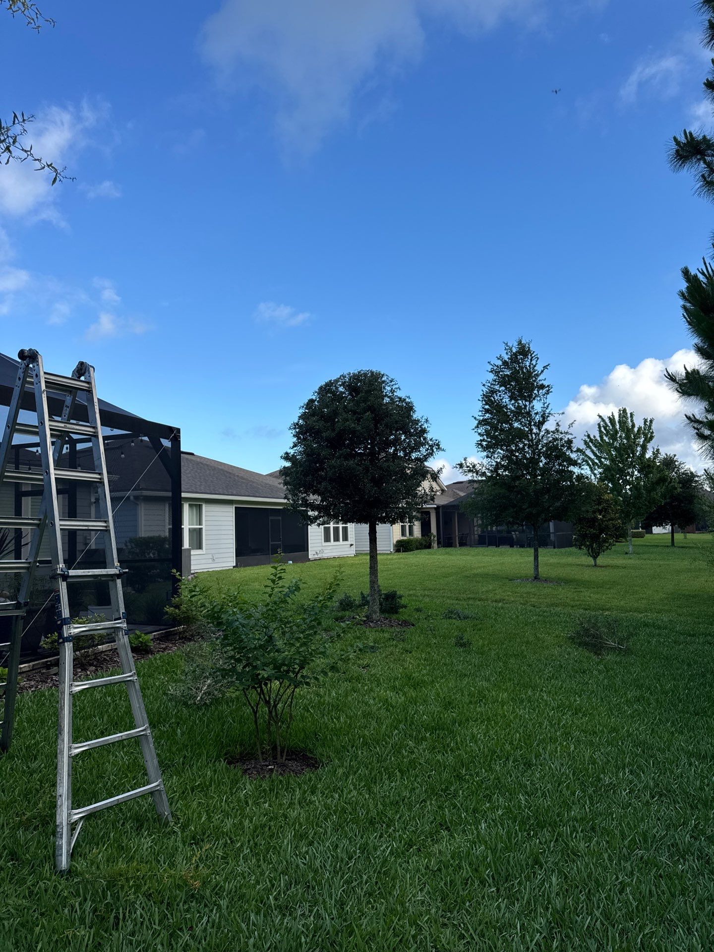 Residential | Topsoil Install & Tree Trimming by ProGreen Services