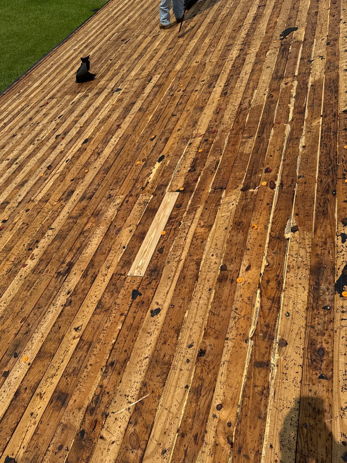 Roof Replacement louise by Roof Repair Company