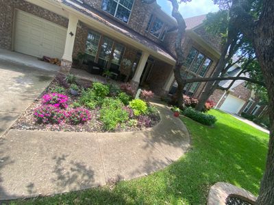 Project in Austin