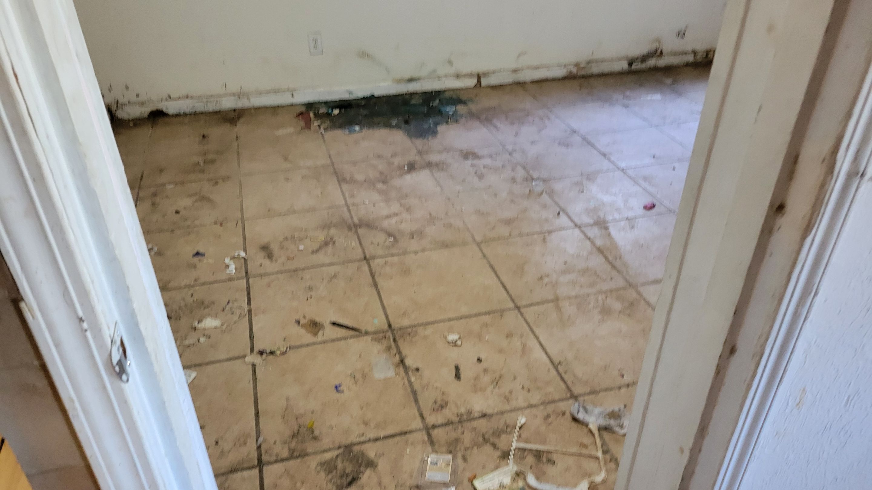 Extreme, Tile Cleaning by Ardent Carpet Restore LLC