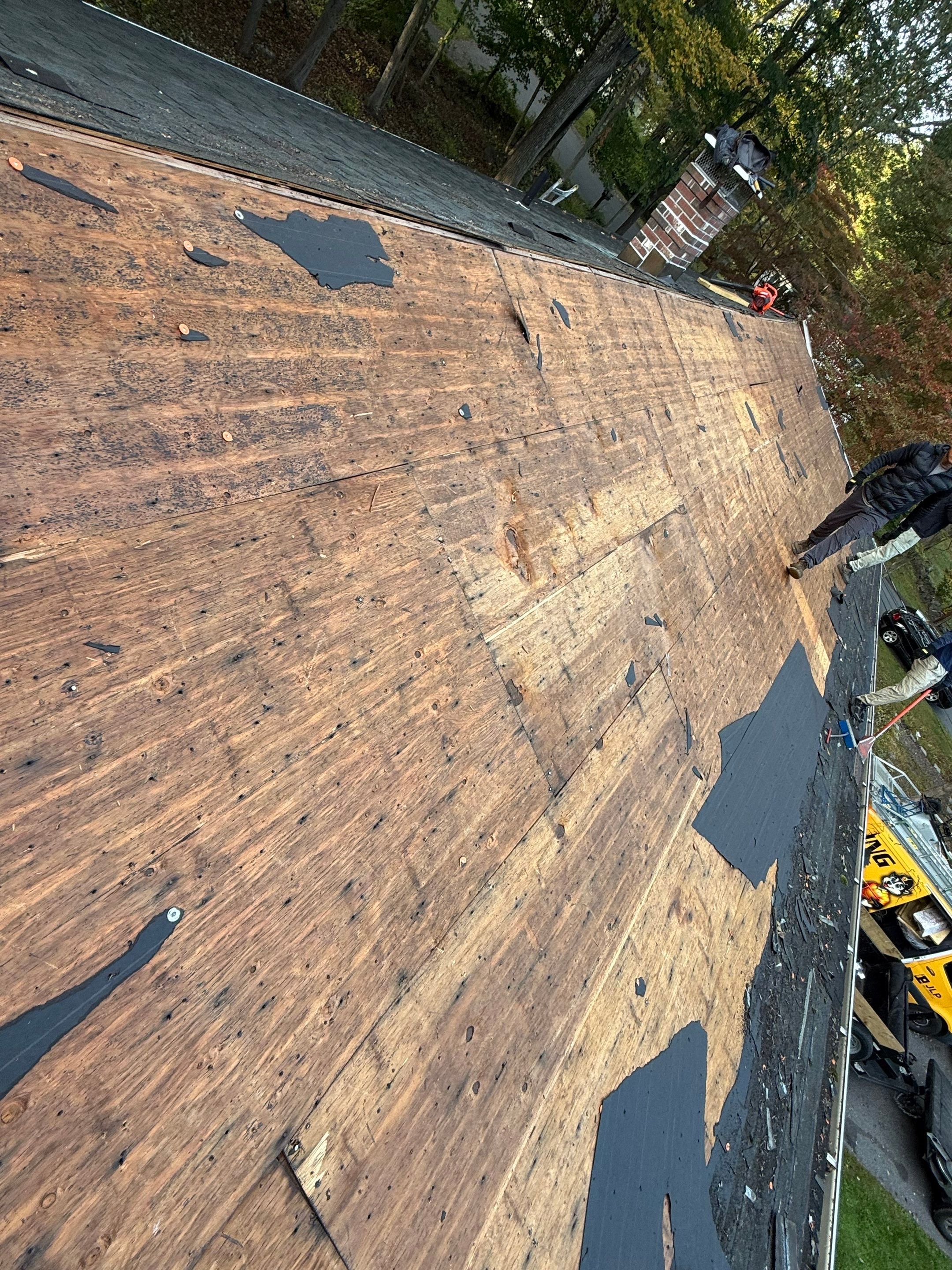ROOF by JLP PRO SERVICES LLC