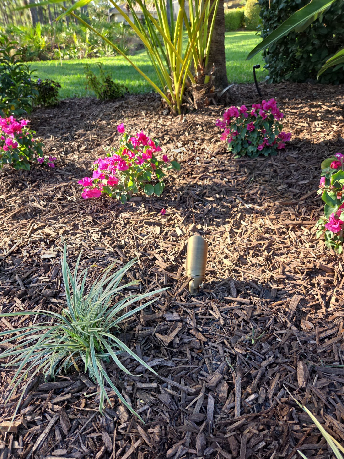 Harbour Ridge Backyard Revival by Alpha Zeta Enterprises Inc