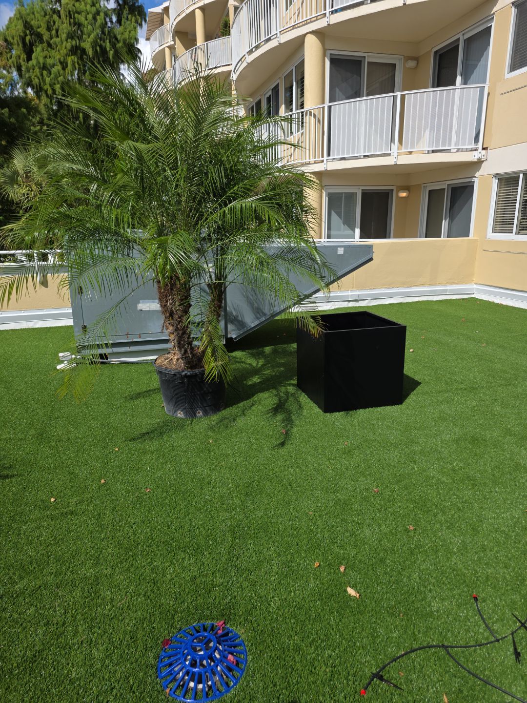 Cypress Village | Plant & Flower Upgrade by ProGreen Services