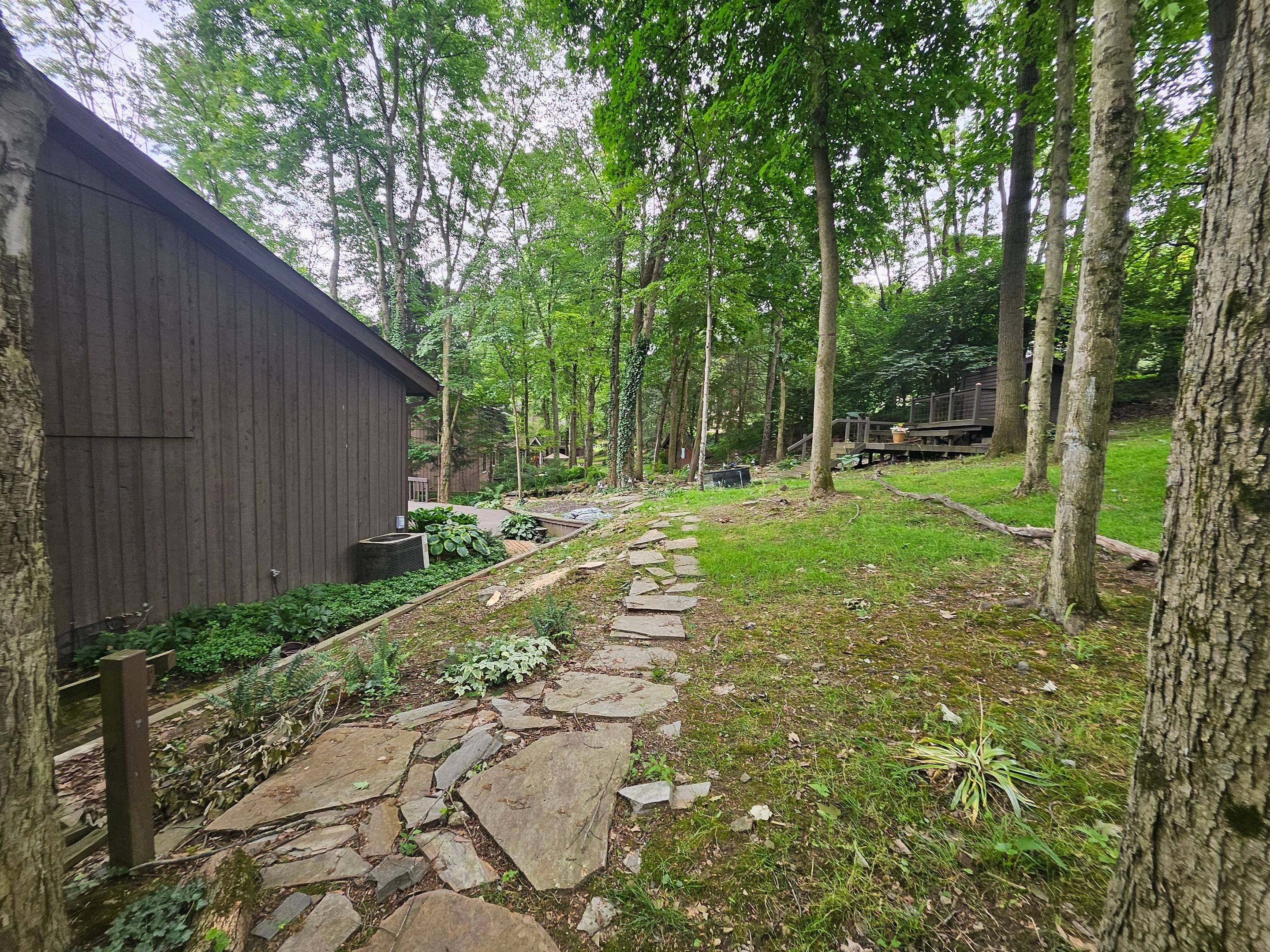 Tree Trimming using Tree Pruing by Mike Jones & Sons Tree Service LLC 