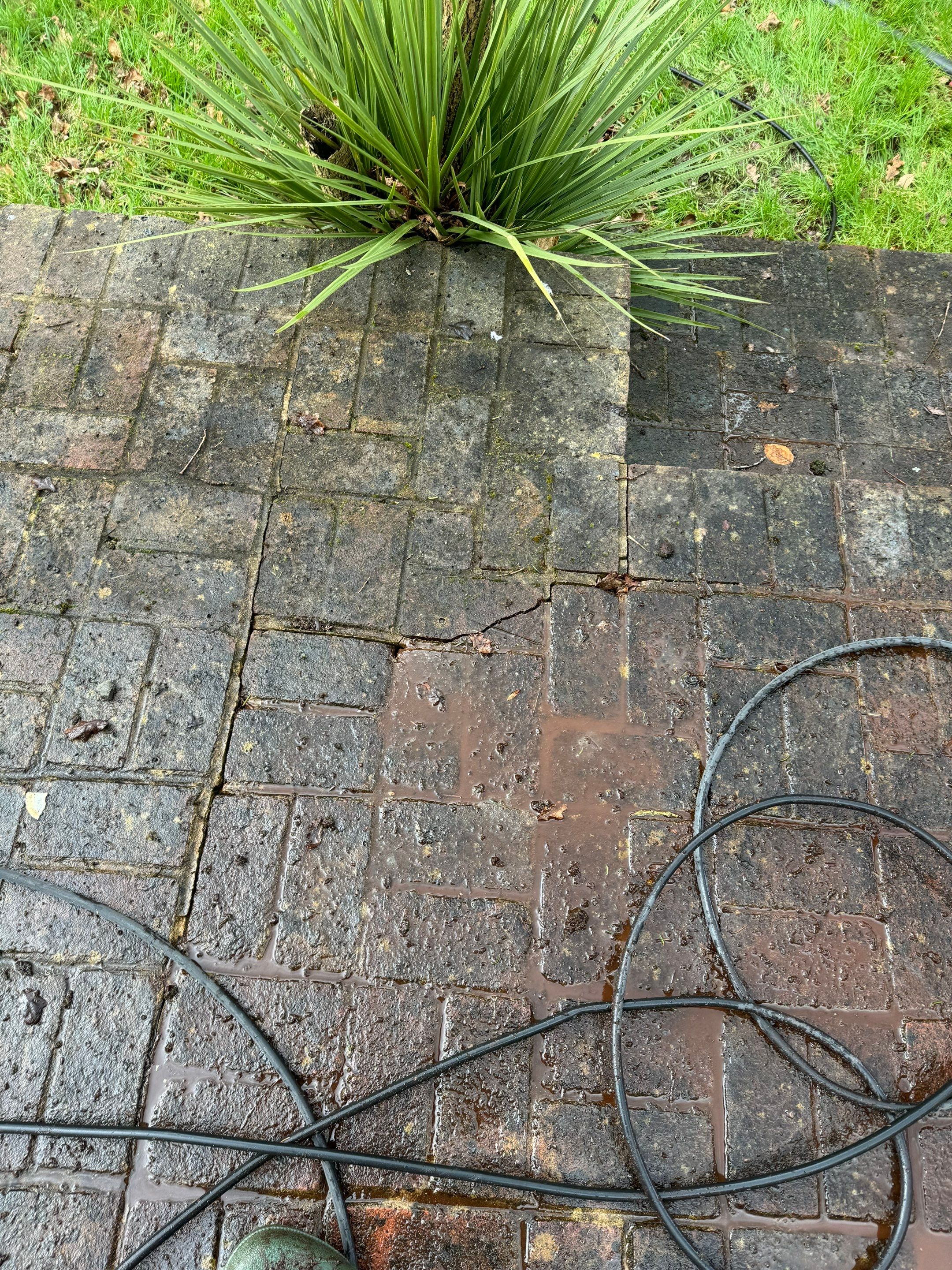Roof and Patio Cleaning using Honda 15lpm Low Pressure Washing Machine by Ges Exterior Cleaning ltd