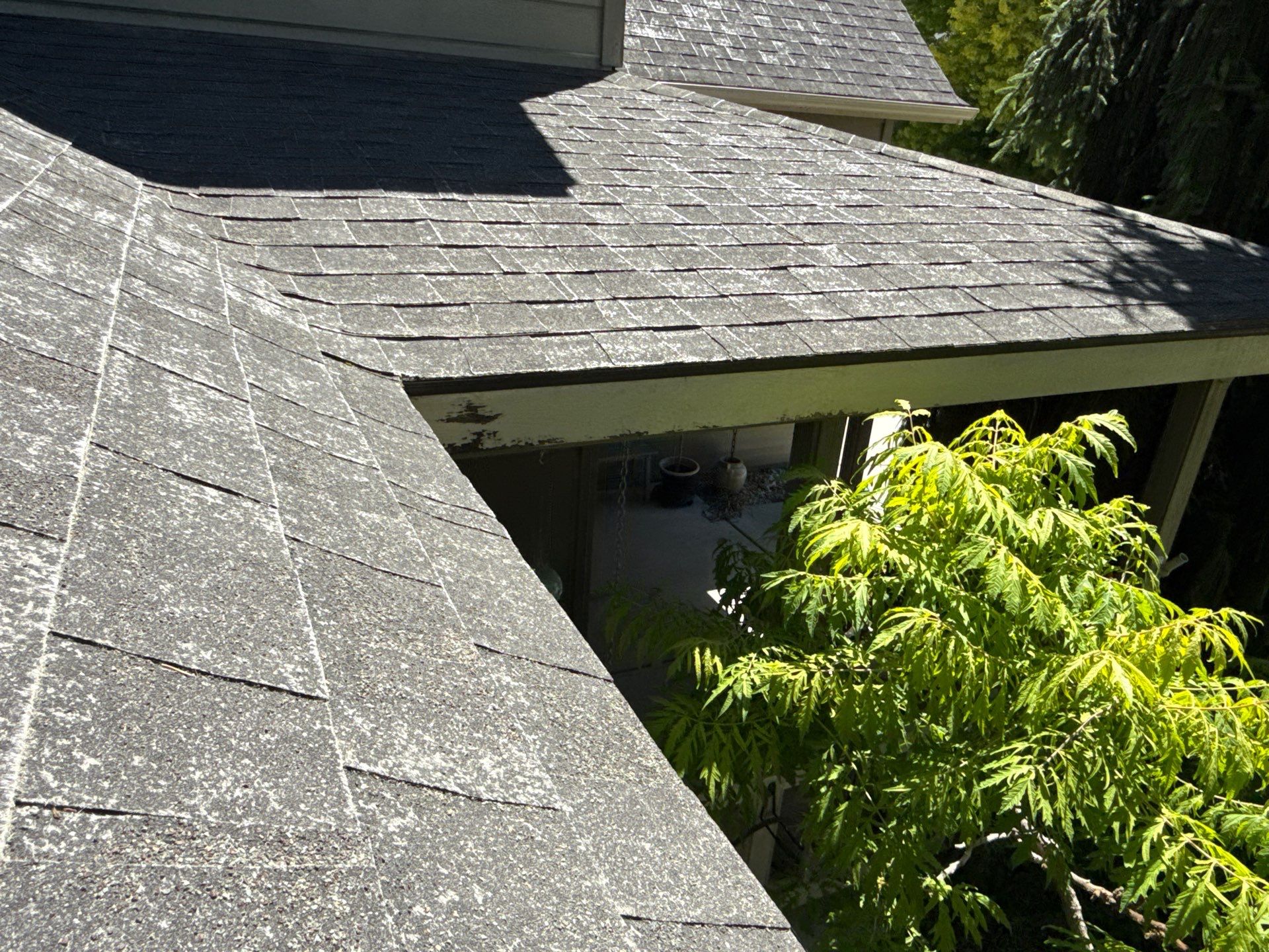 Boise Residential Roof Replacement Featuring Multi-Toned Architectural Shingles by Olive Roofing