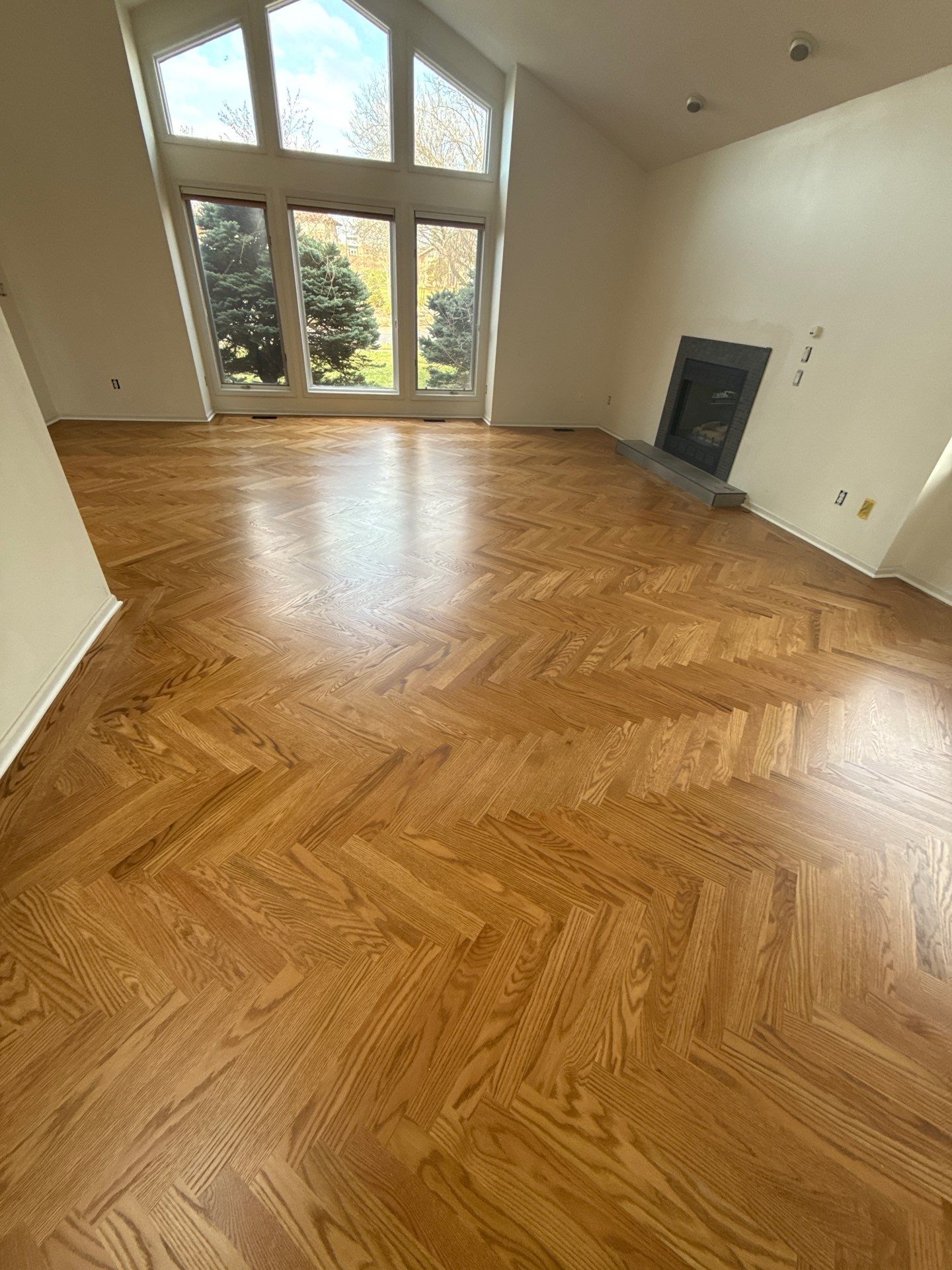 Carpet to Classic by Ann Arbor Hardwoods