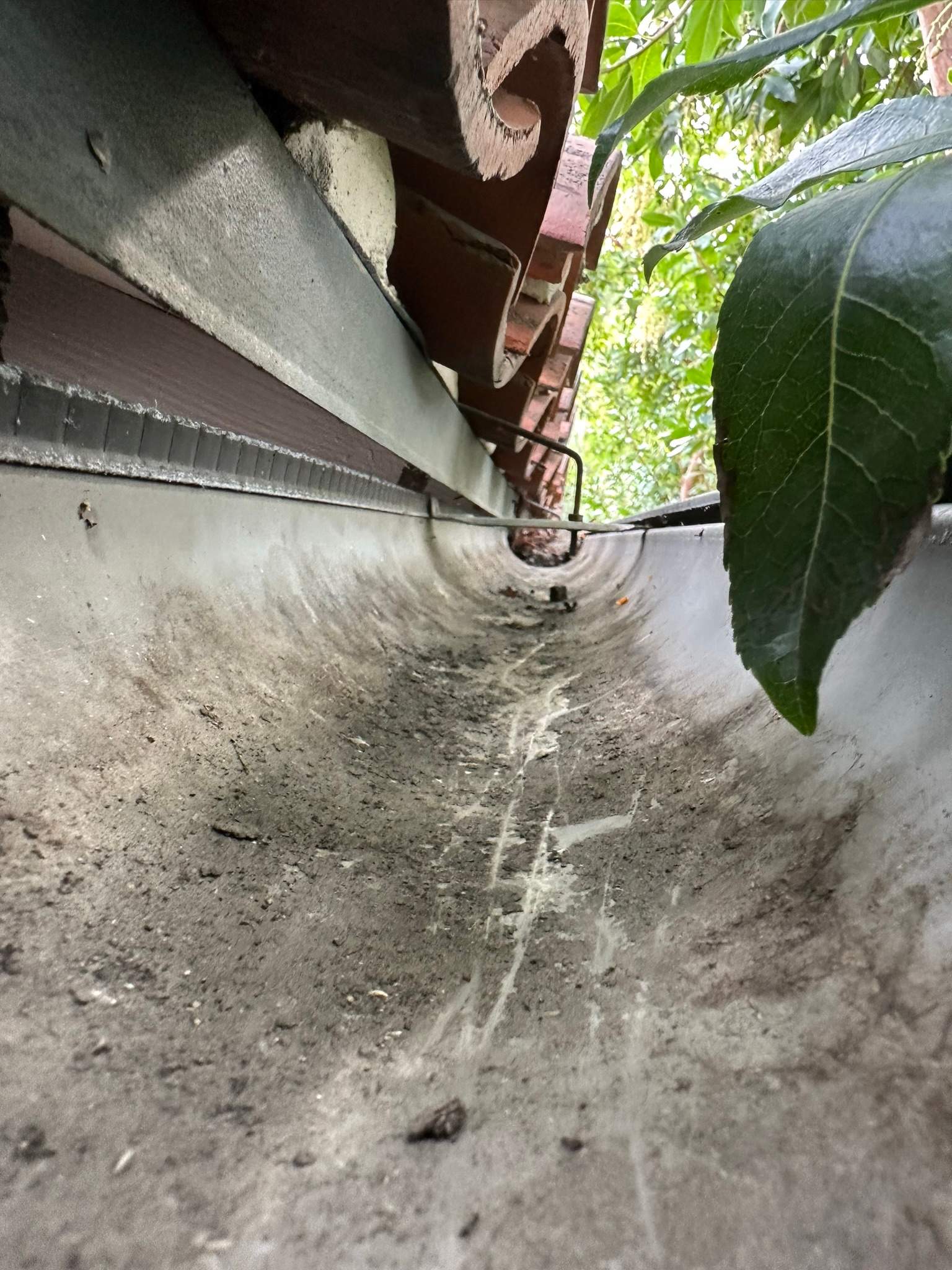 Orange County Gutter Cleaning by Property Cleaning Experts