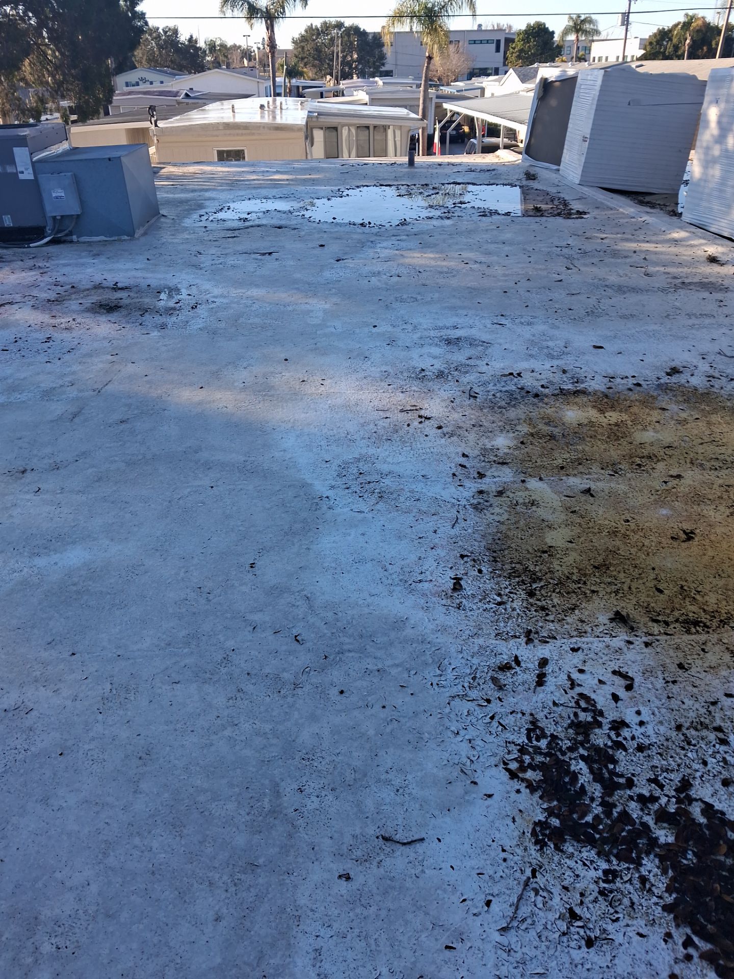 Project in Dunedin 34698 by Mitchell Roofing Company LLC