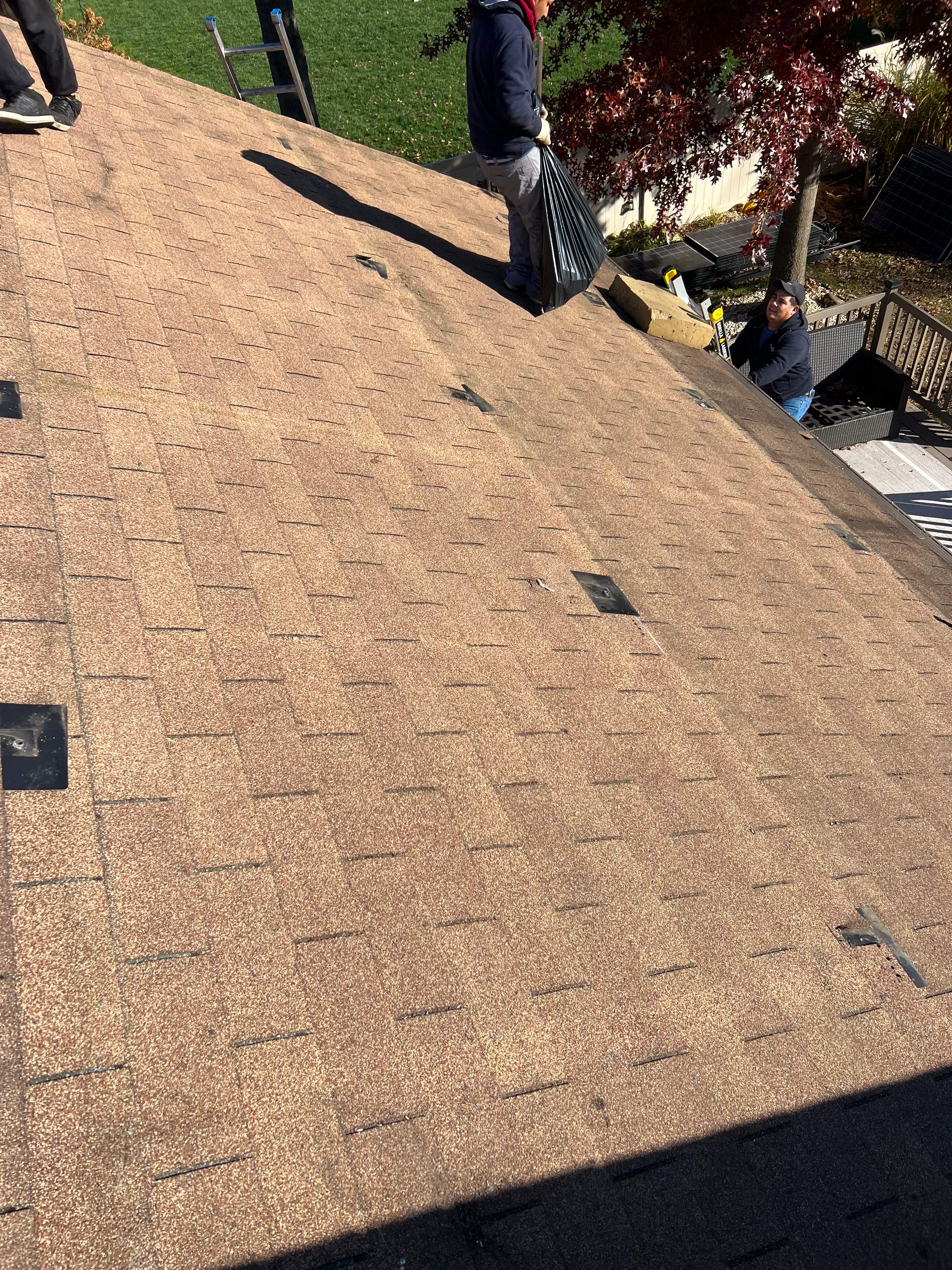 Onyx Black Shingles by Reimagine Roofing