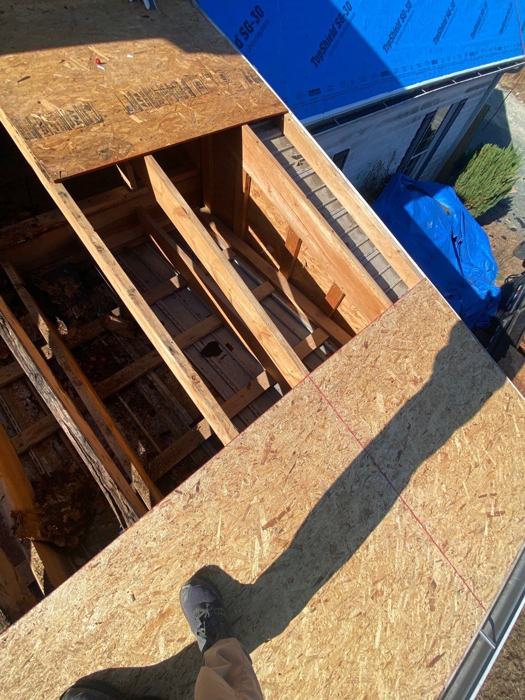 Project in Creedmoor - Certainteed Landmark Silver Birch by Pro Performance Roofing