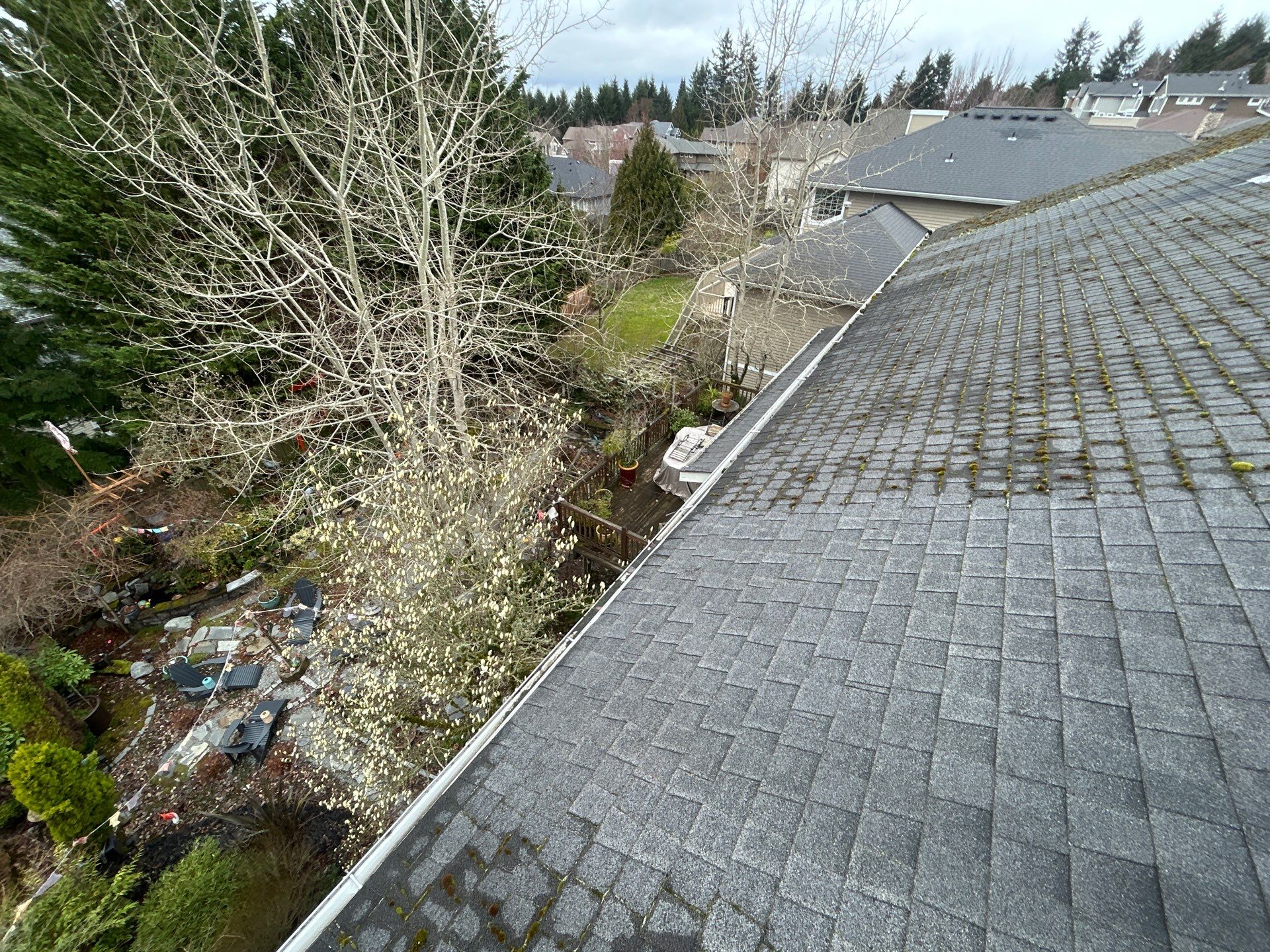 Project in Bellevue by Peaks and Valleys Construction