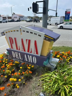 Project in Torrance