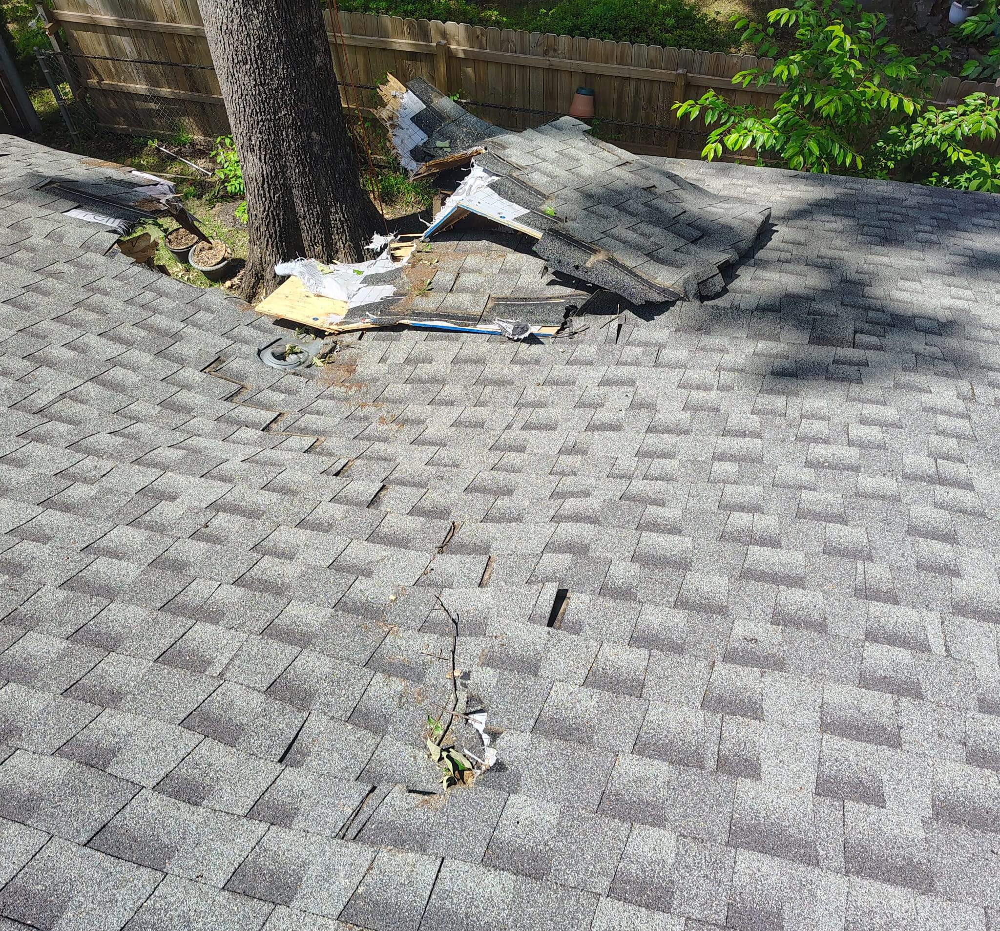 Tree Damage Restoration and Asphalt Shingle Roof Replacement in Memphis by Revival Roofing Services