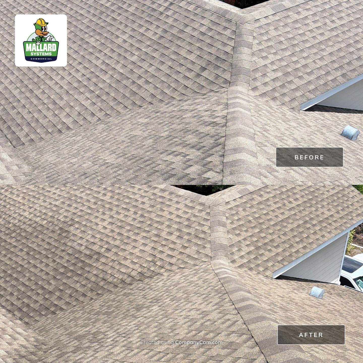 Residential Shingle Roof Cleaning in Deltona by Mallard Systems