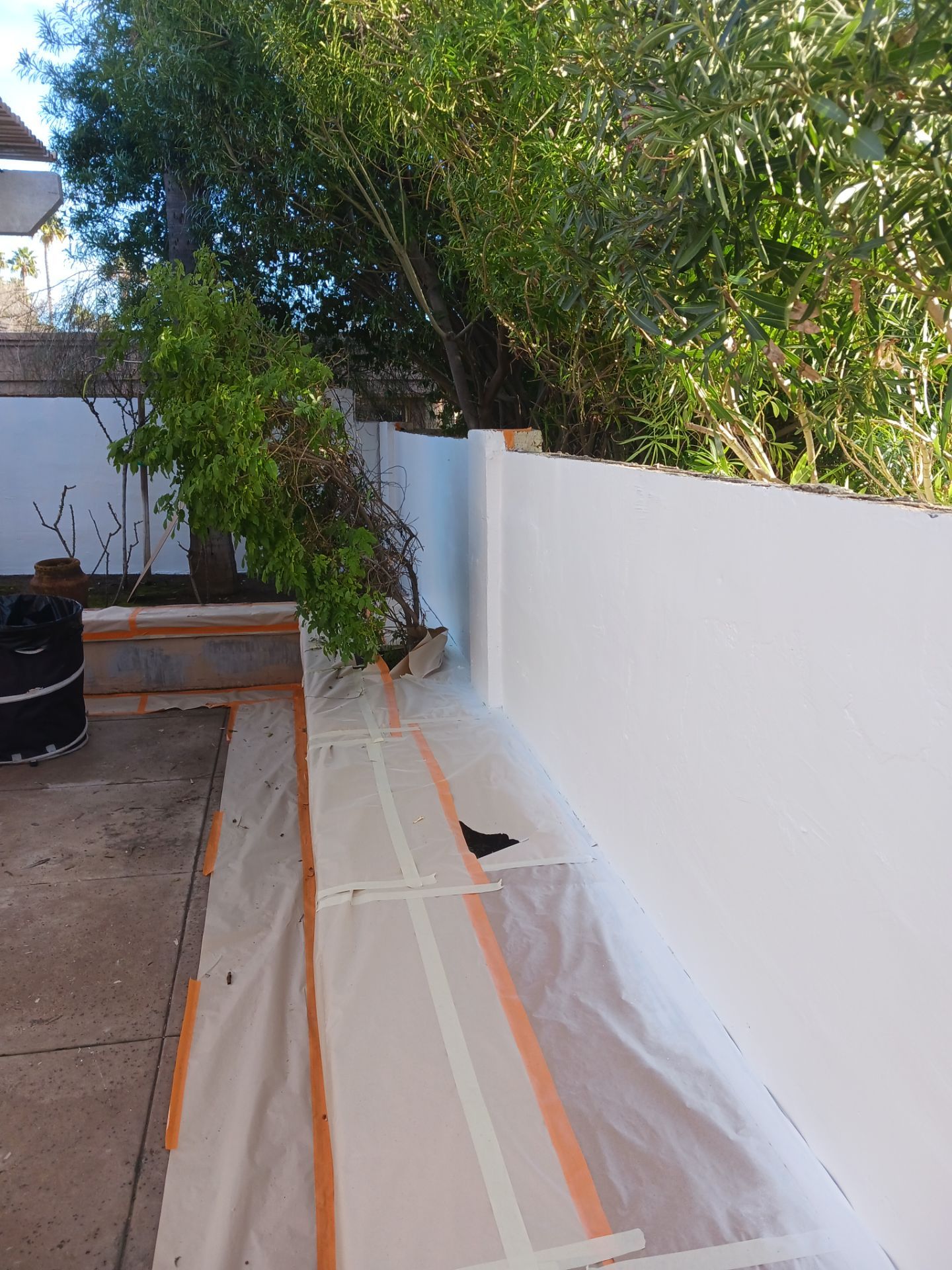 Phoenix by Crash of Rhinos Painting & Garage Floors