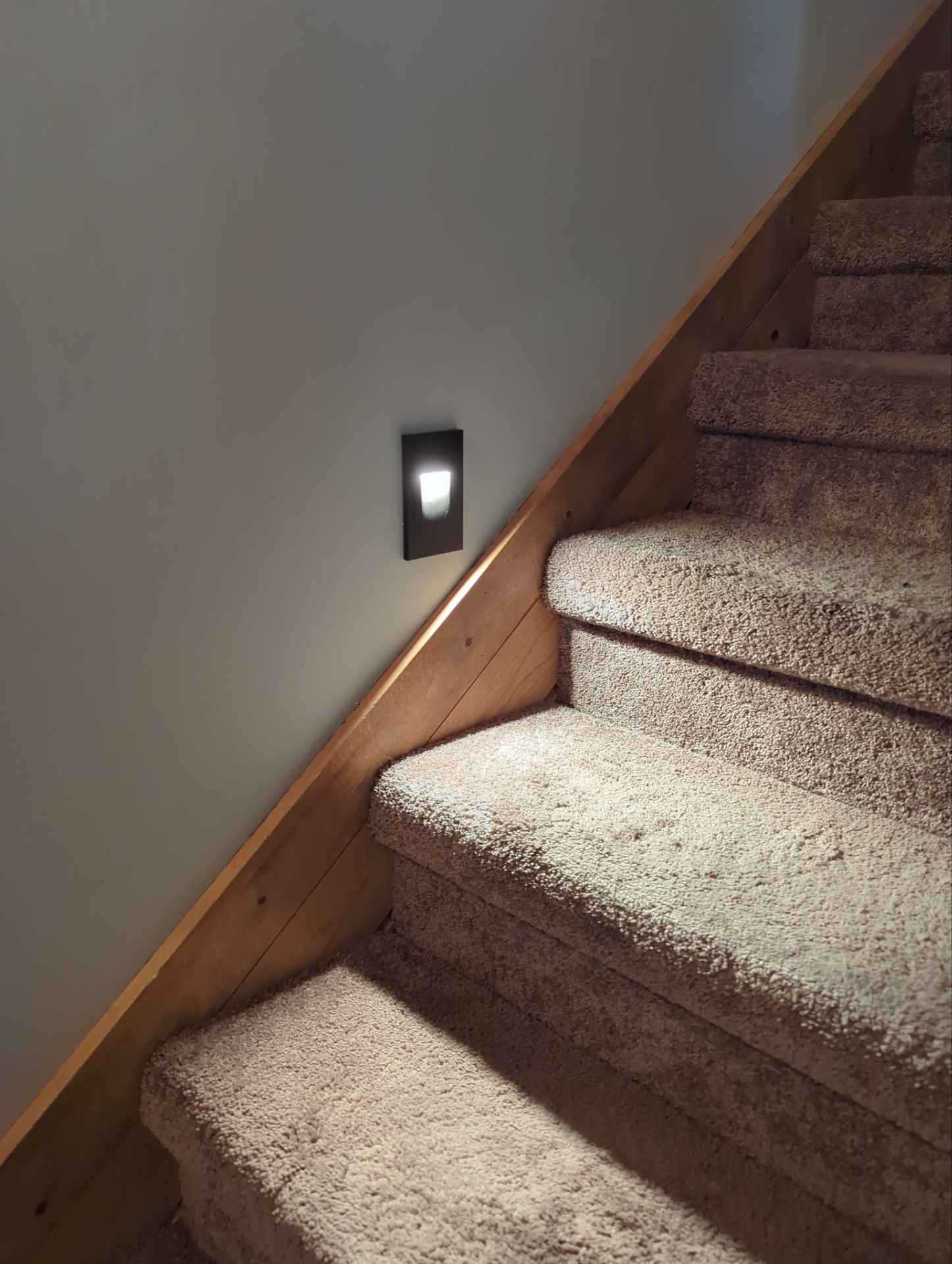 Accent Lighting  by Bear Electric