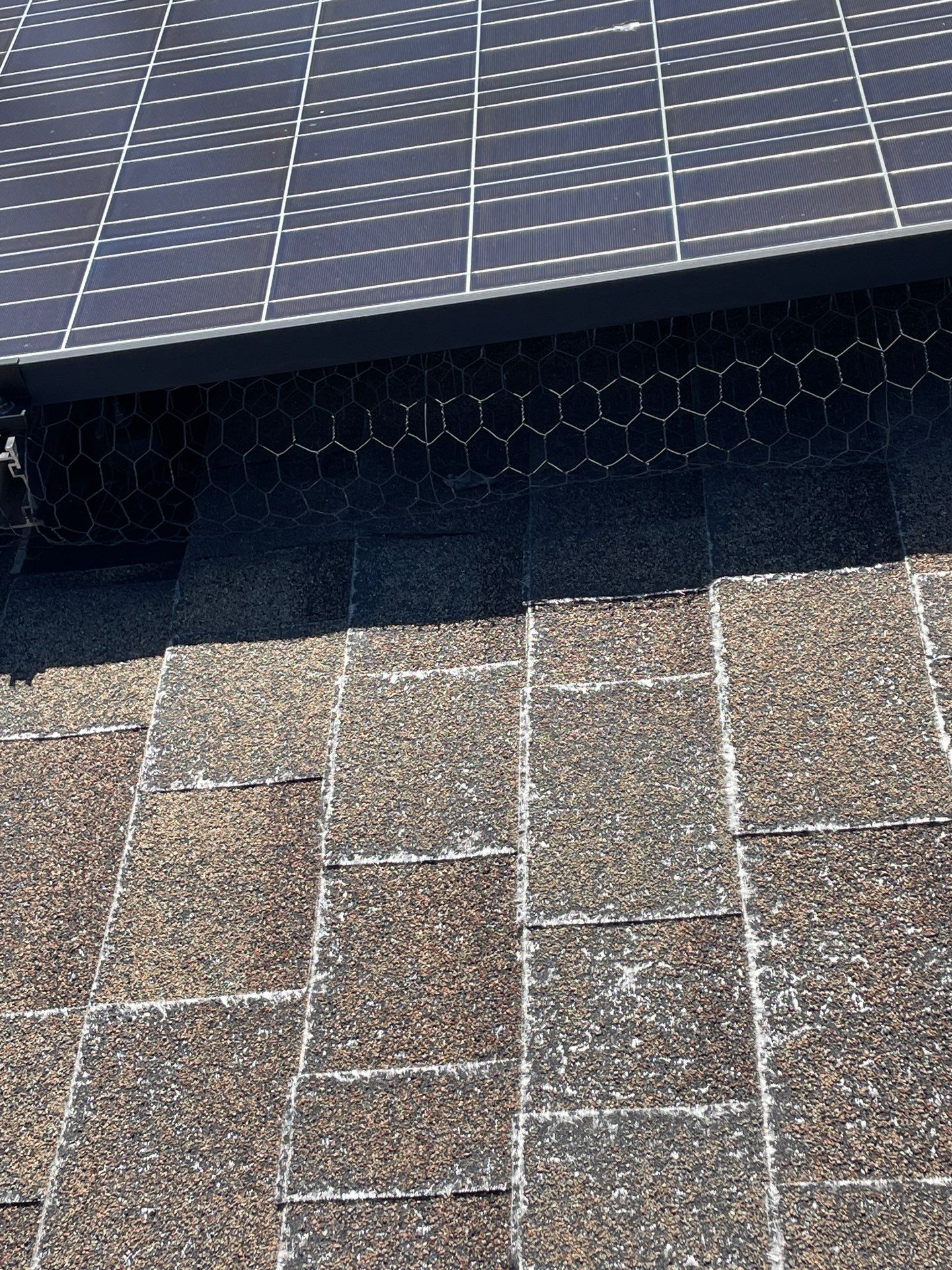Roof Rejuvenation using Roof Maxx Treatment by Roof Maxx of Folsom