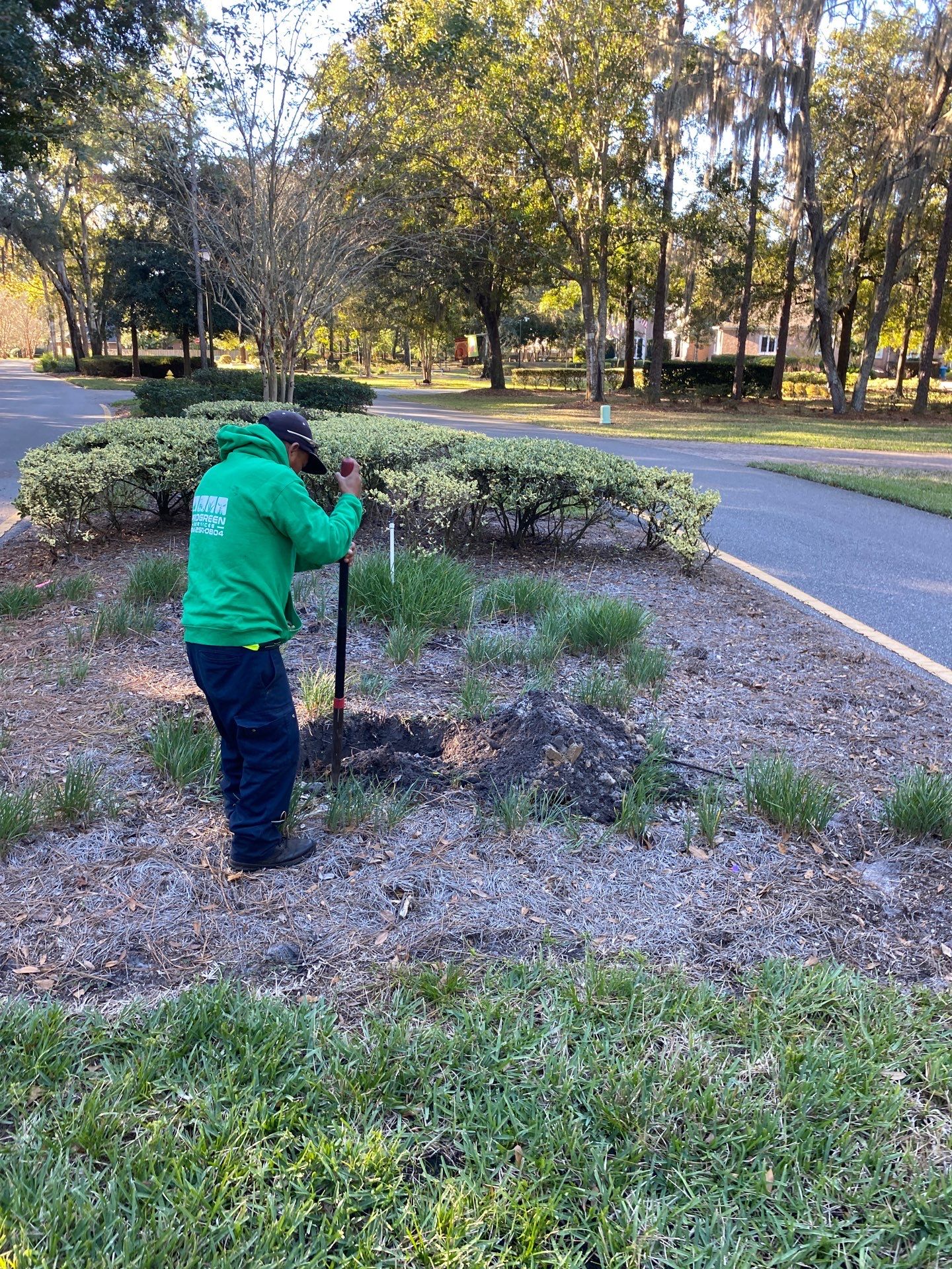 Deerwood Community | Oak Tree Replacement Project by ProGreen Services