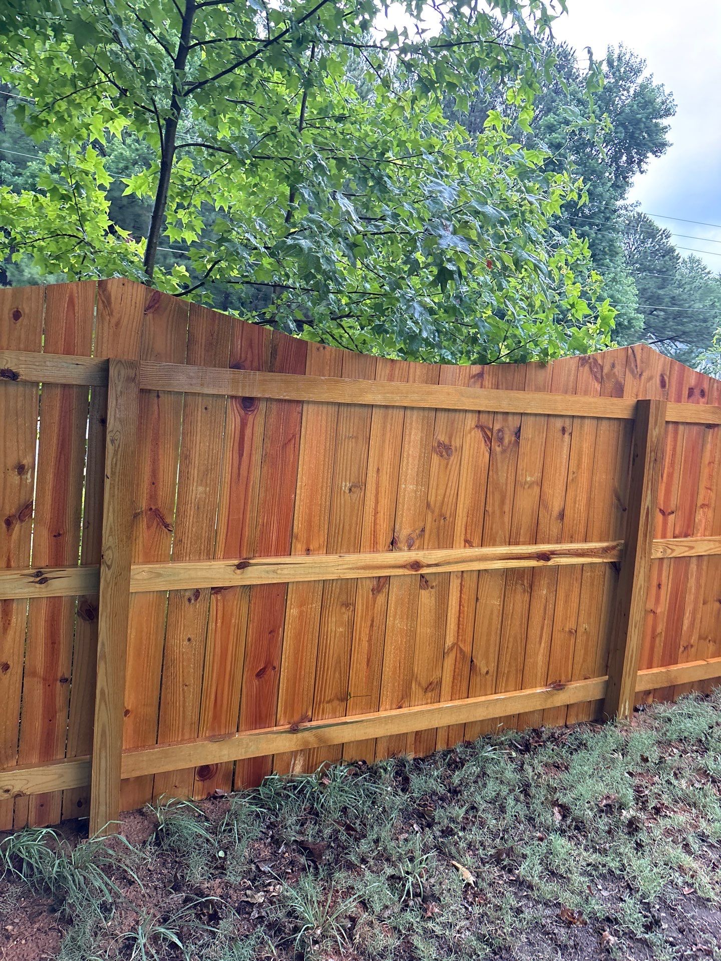 Fence using Wood Sealant by DuraSeal