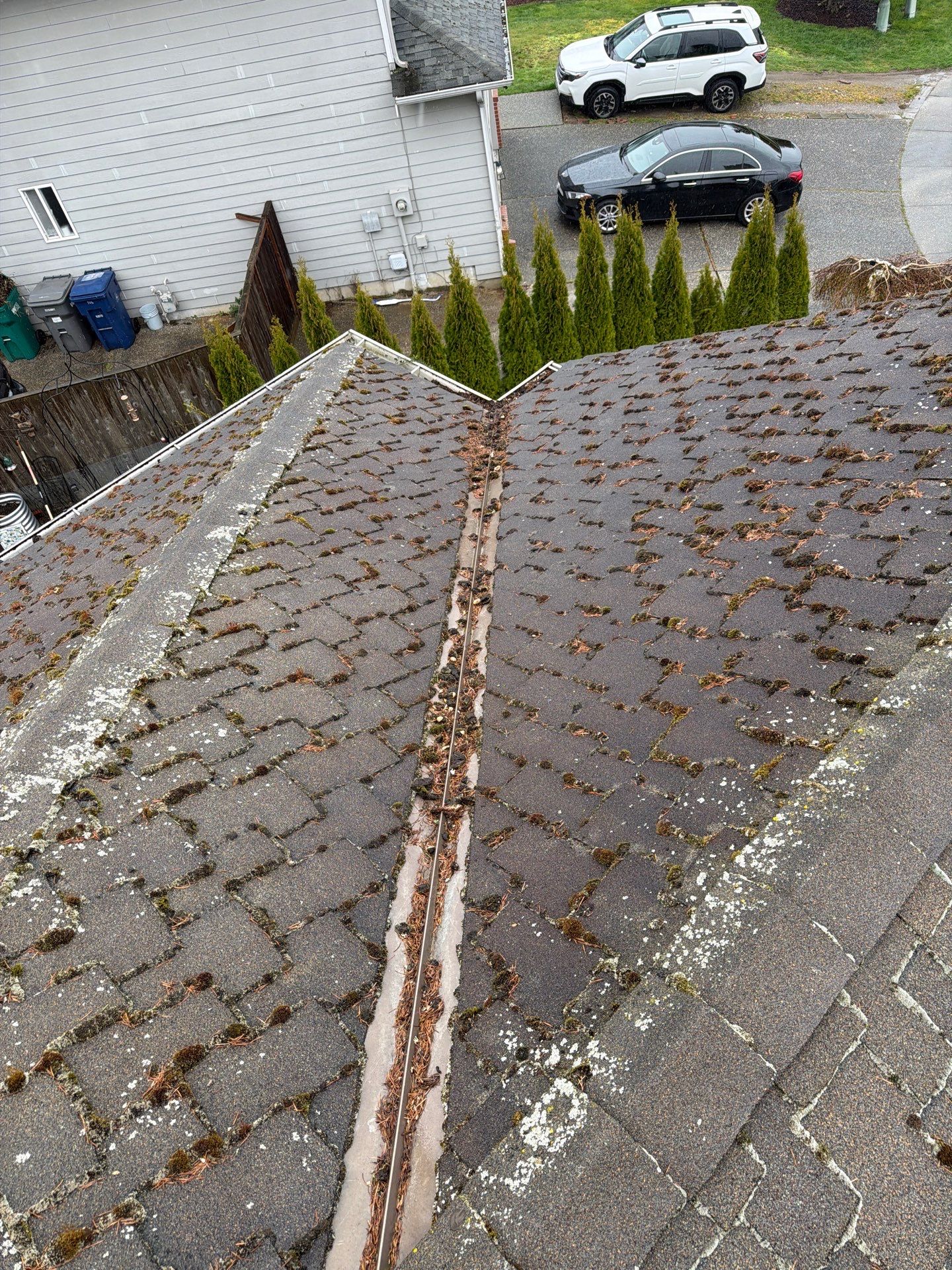 Roof Cleaning – Everett, WA by Everpro Construction