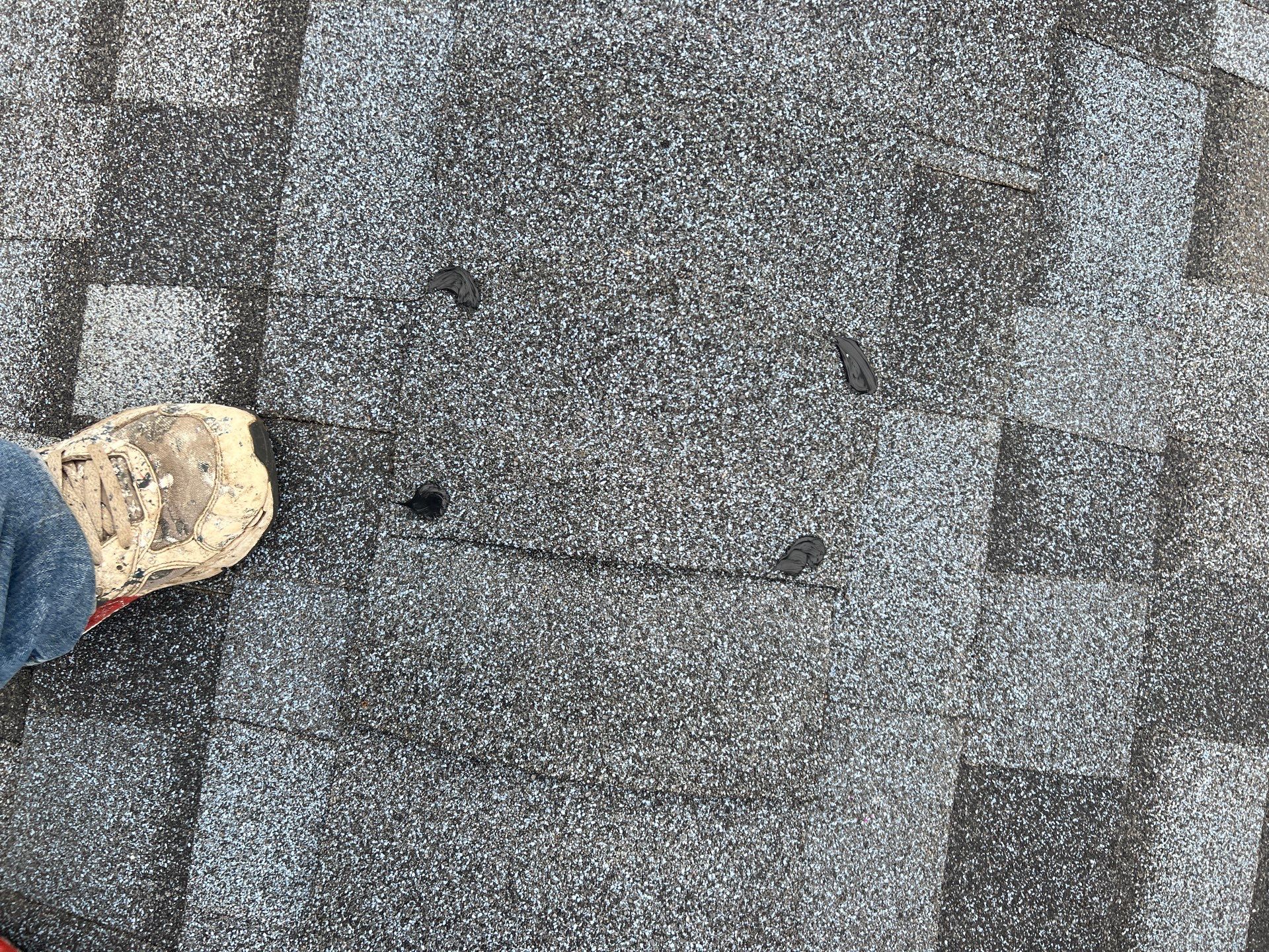 Let My Attic Breathe!!!!! by Bayfront Roofing and Construction