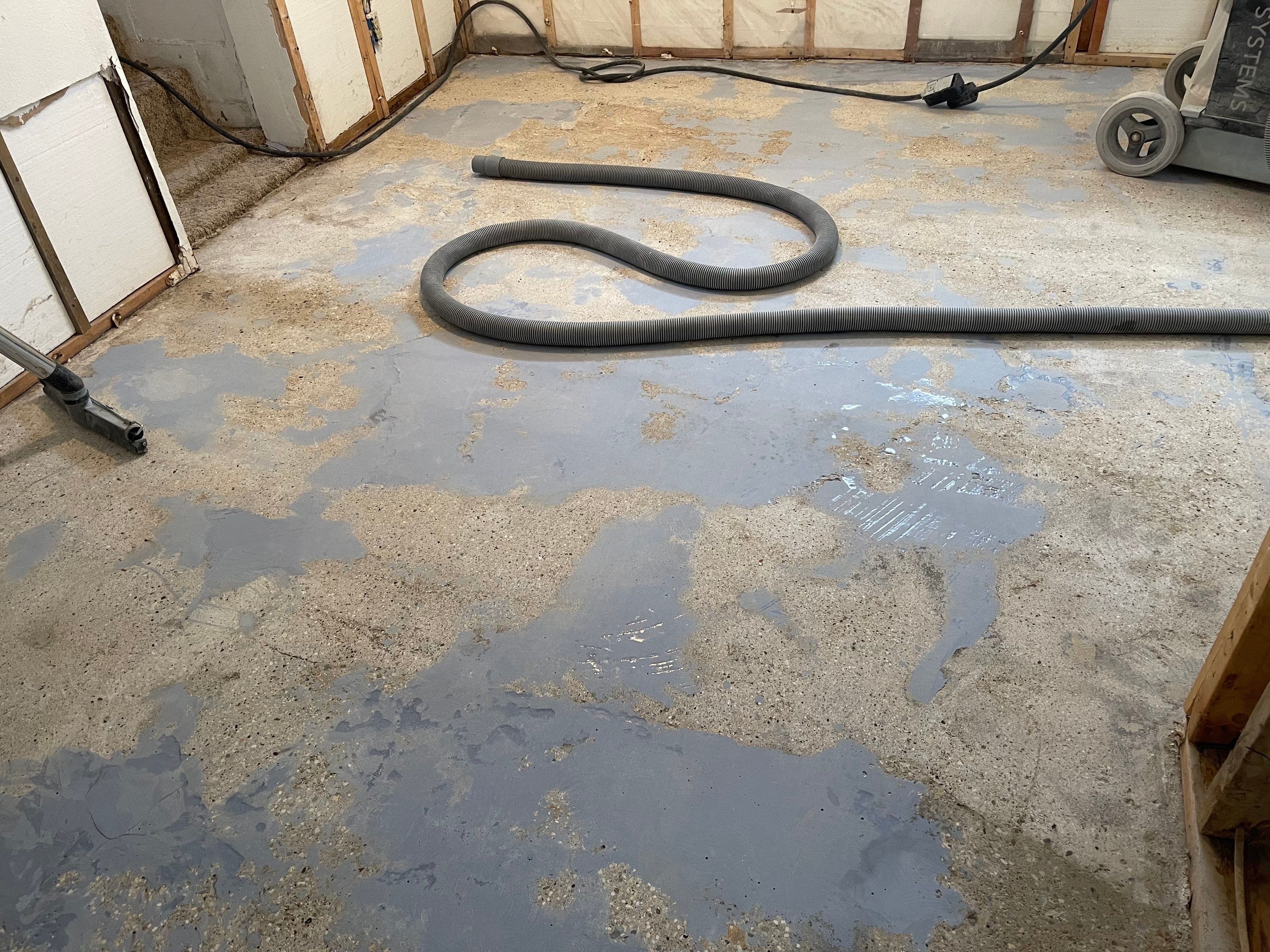 Basement using Mount Everest by Select Painting, Coatings & Garage Cabinets