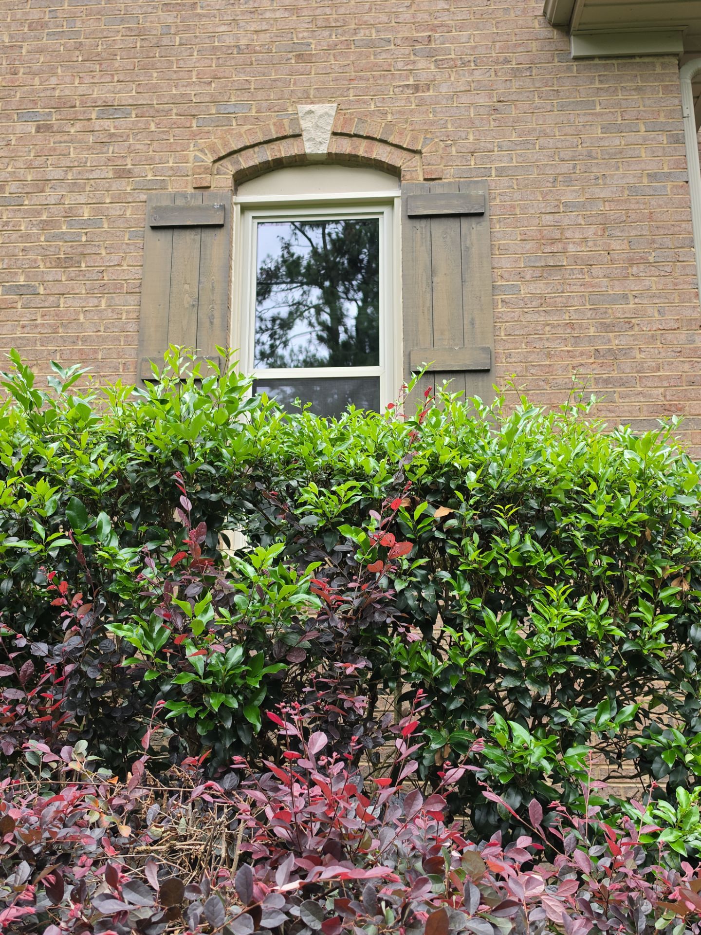 Bruner Project in Helena by The Window Source