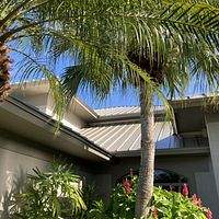 24ga 1.5" Mechanical Seam Champagne  by Total Roofing System The Metal Roof Experts