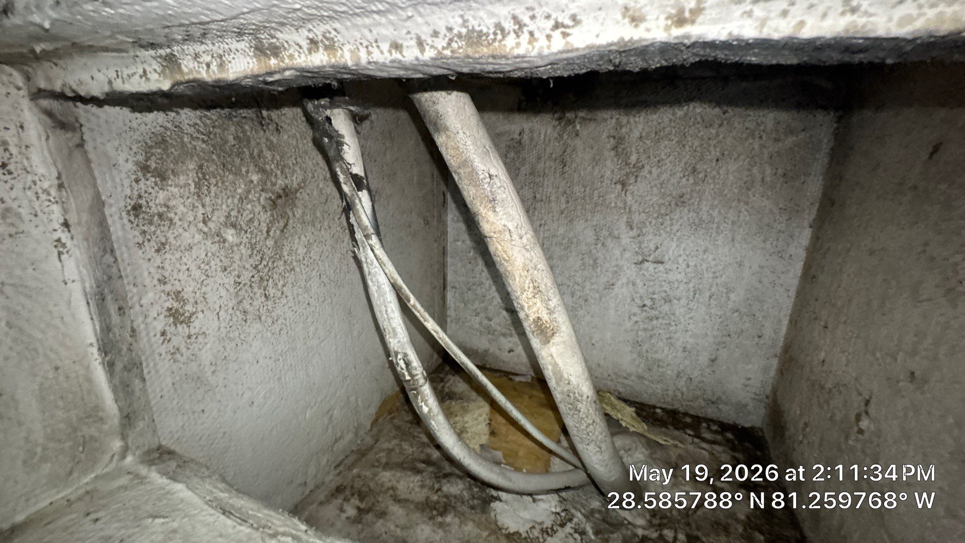Air Duct Cleaning in Orlando by Hygienic Air, Inc