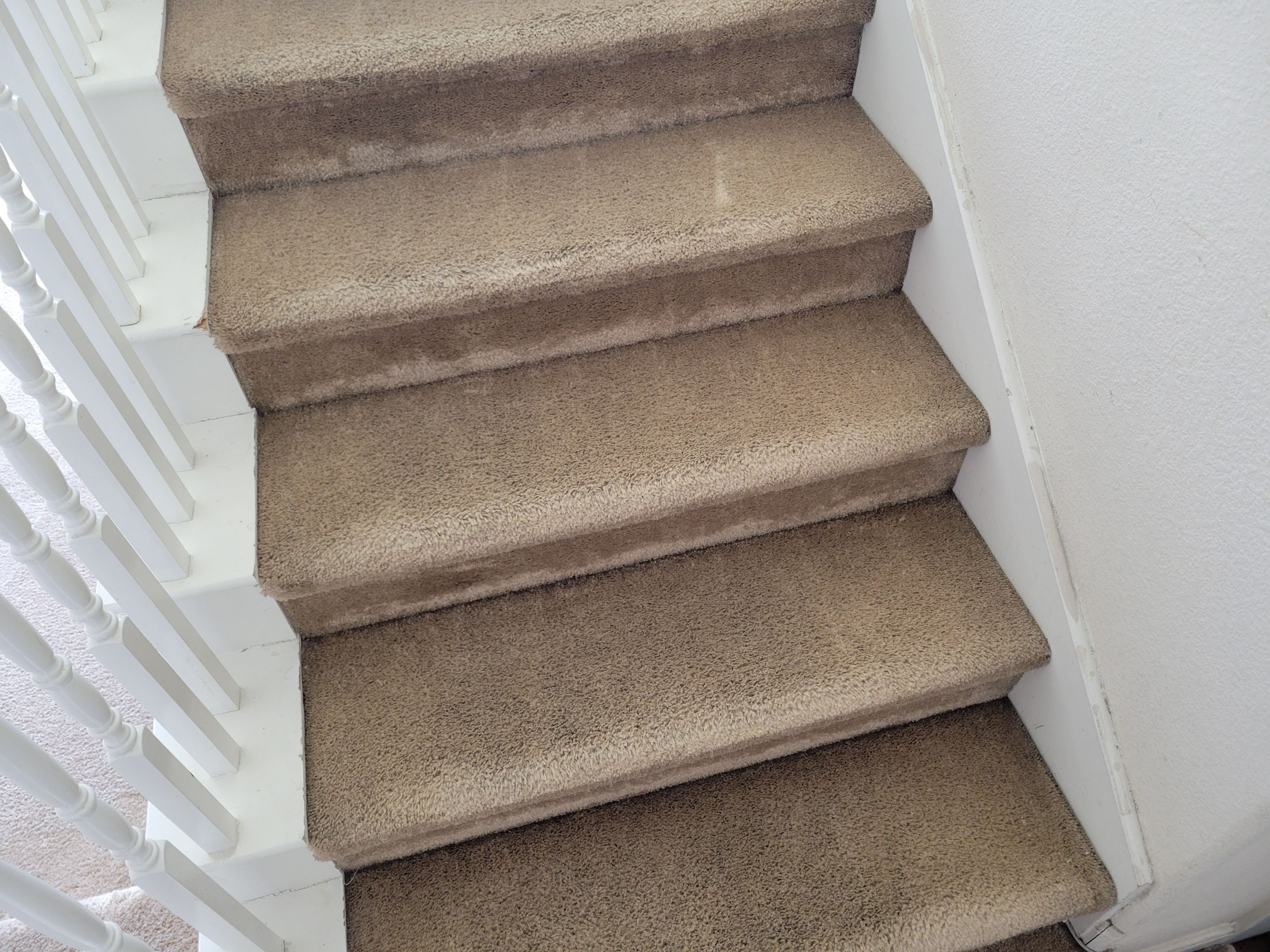 Cleaning Heavily Soiled Stairs and Entryway by Ardent Carpet Restore LLC