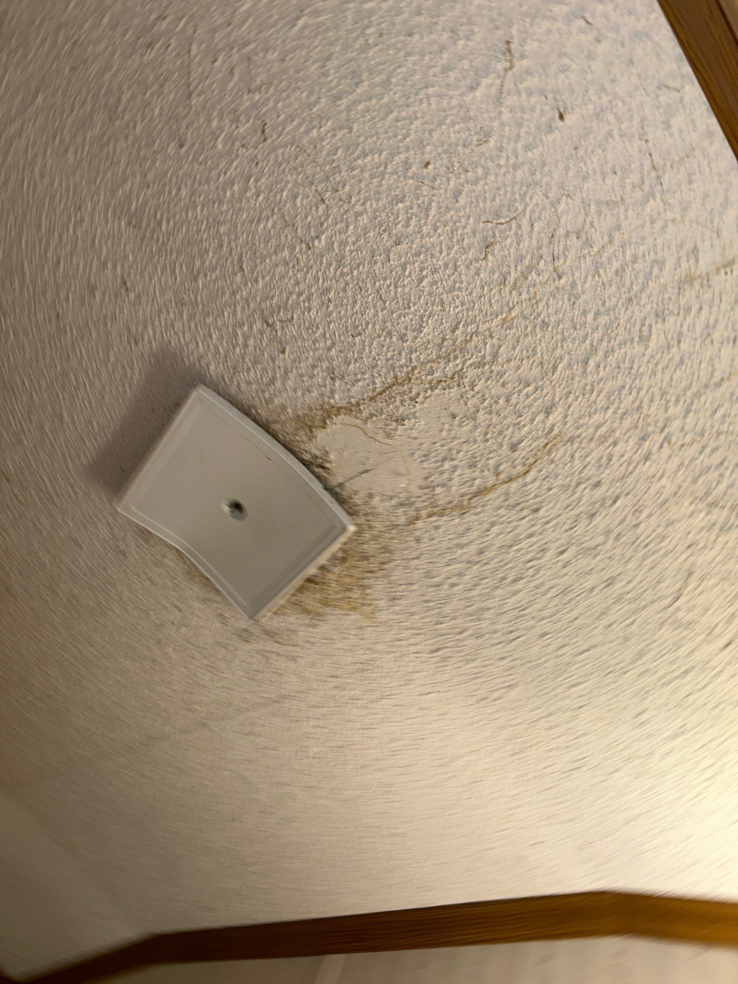 Roof and Siding Replacement using Norandex Cedar Knoll Graphite Siding and Owens Corning Durations in Onyx Black by WIW Enterprises Inc