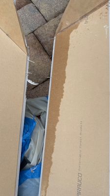 Mold Remediation — Bonita Springs, FL
