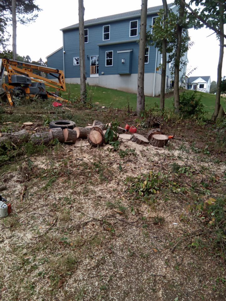 Tree Removal using Tree Removal by Mike Jones & Sons Tree Service LLC 