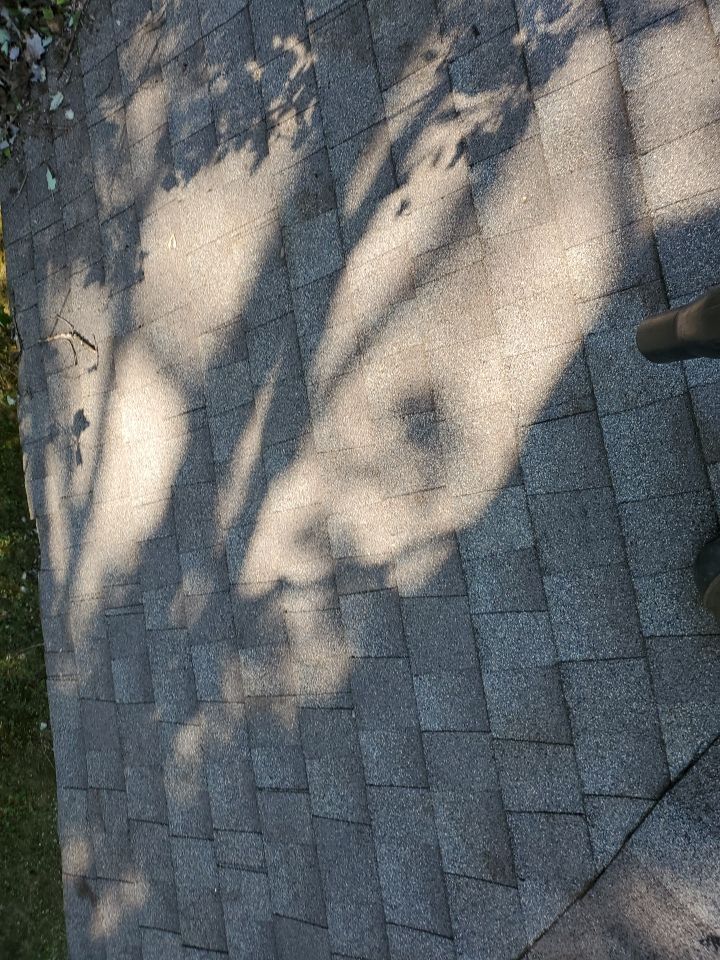 Storm Damaged Tree Removal  by Mike Jones & Sons Tree Service LLC 