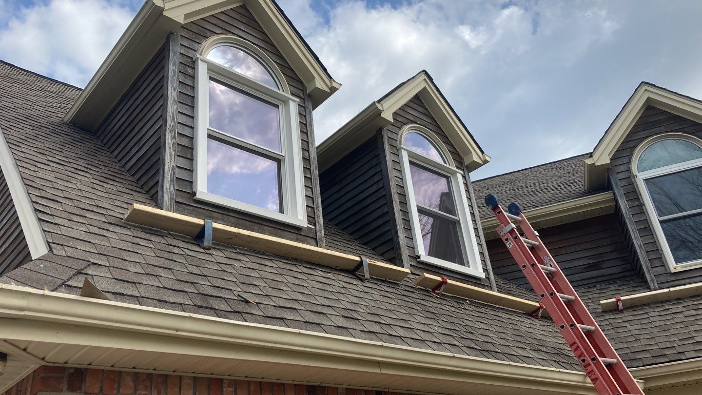 Window Replacement by Ivy Lea Construction
